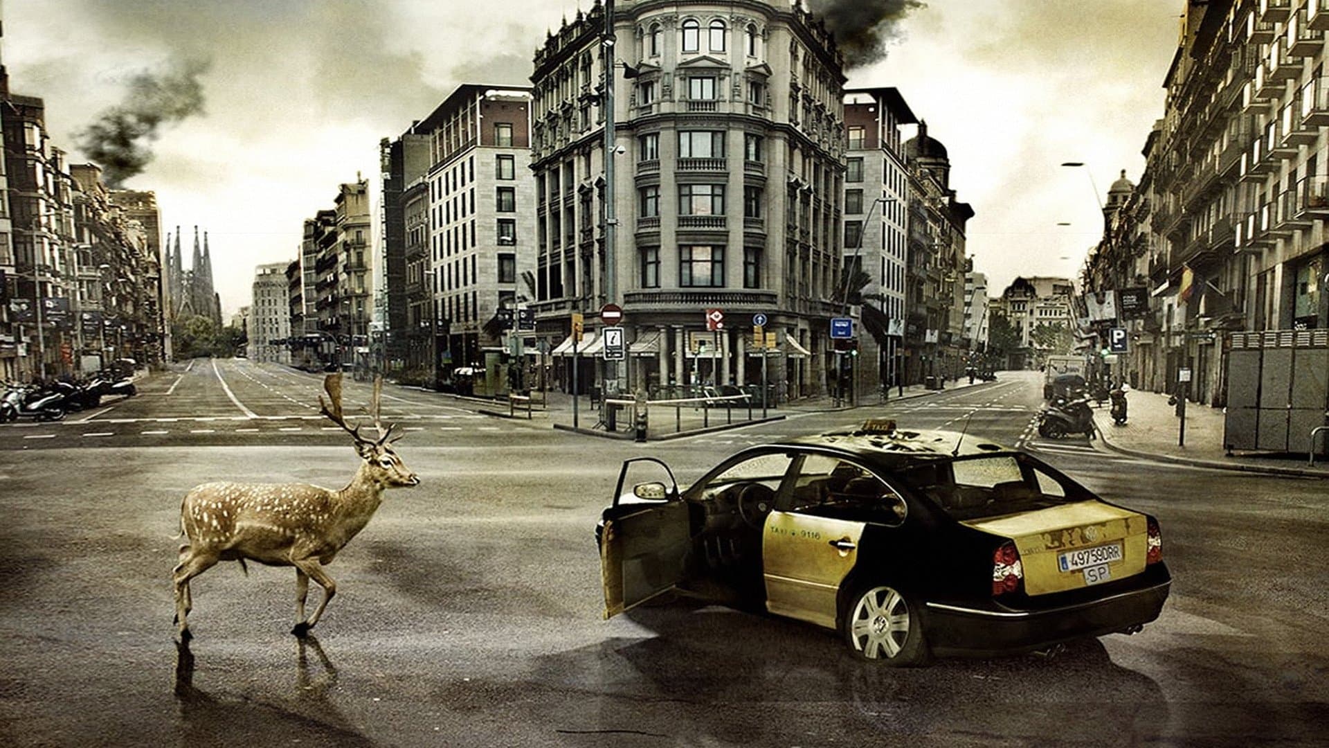 Backdrop of The Last Days