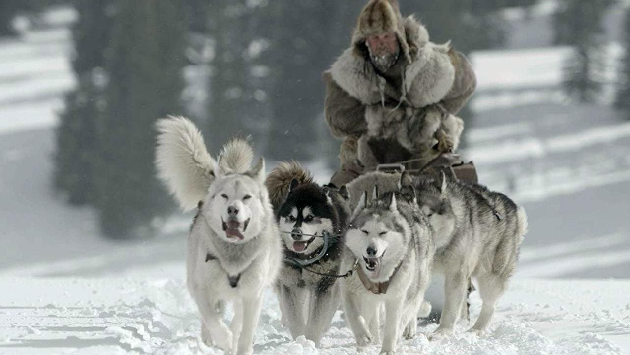 Backdrop of The Great Alaskan Race