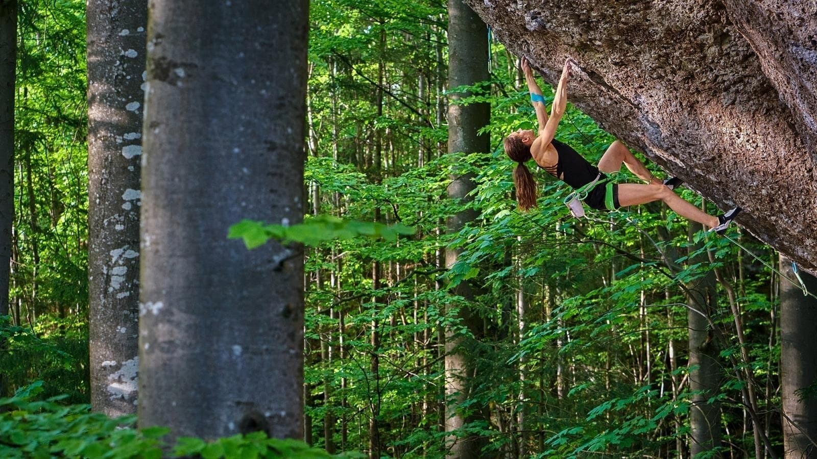 Backdrop of Reel Rock 15