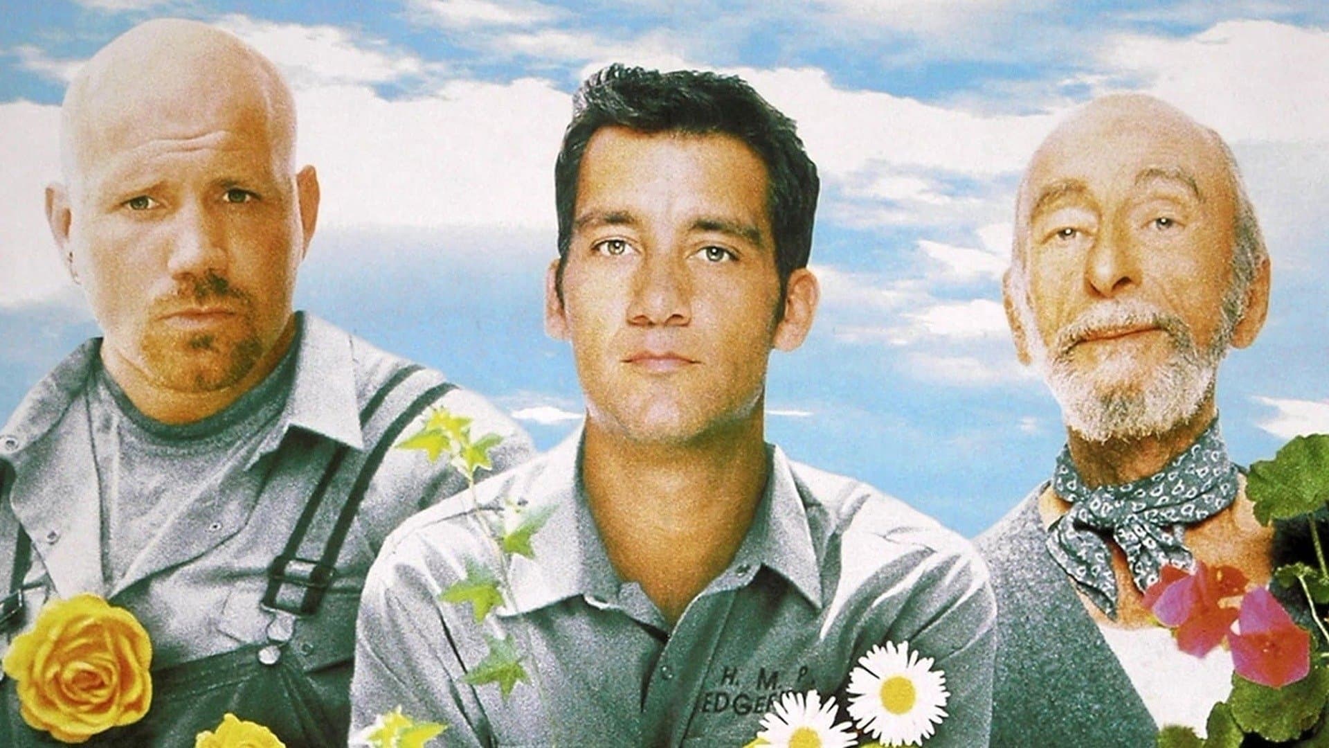 Backdrop of Greenfingers