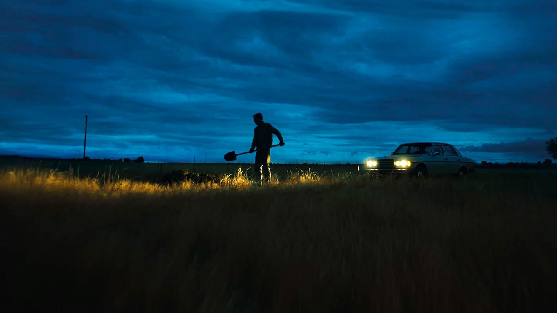 Backdrop of LaRoy, Texas