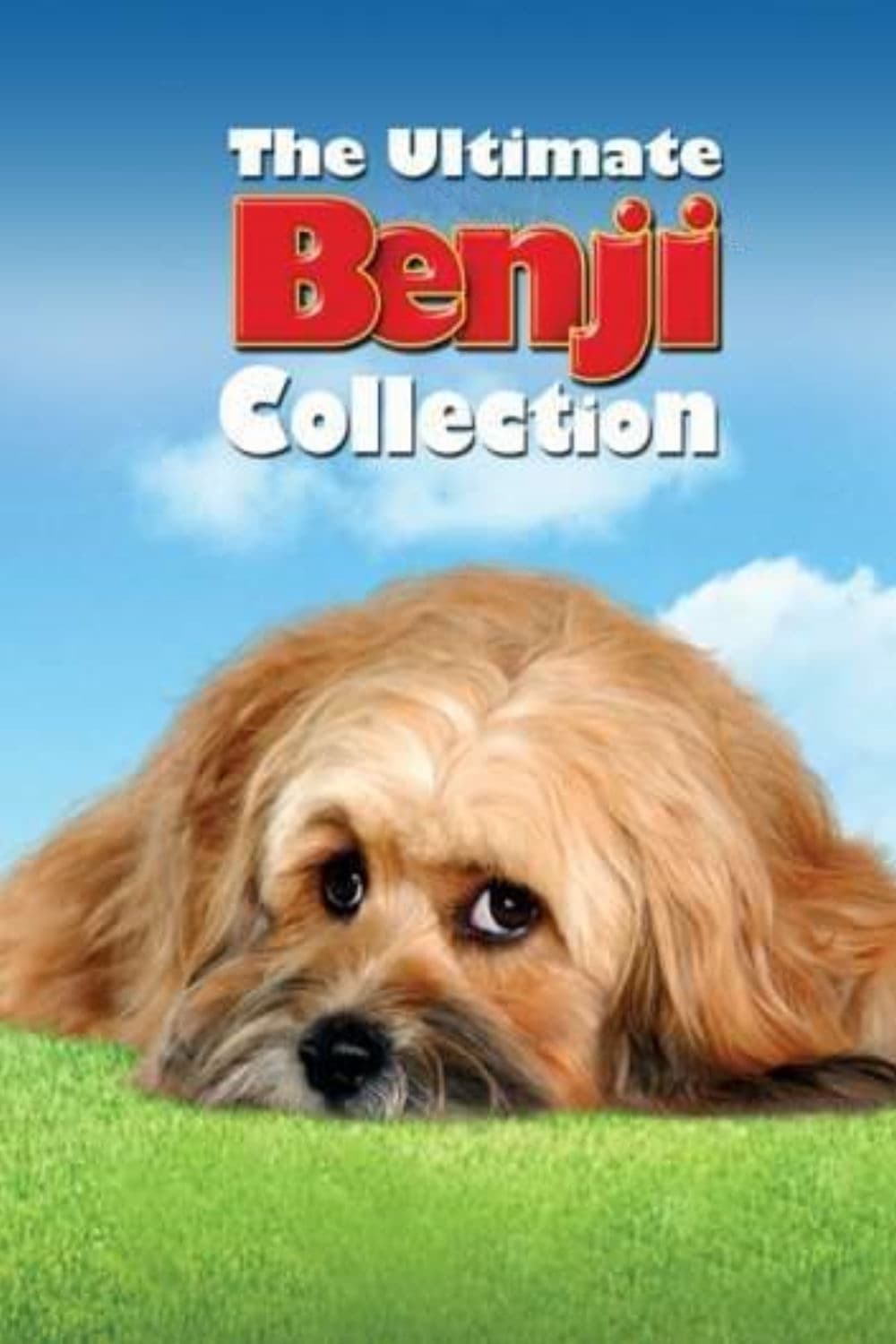Poster of The Benji Collection