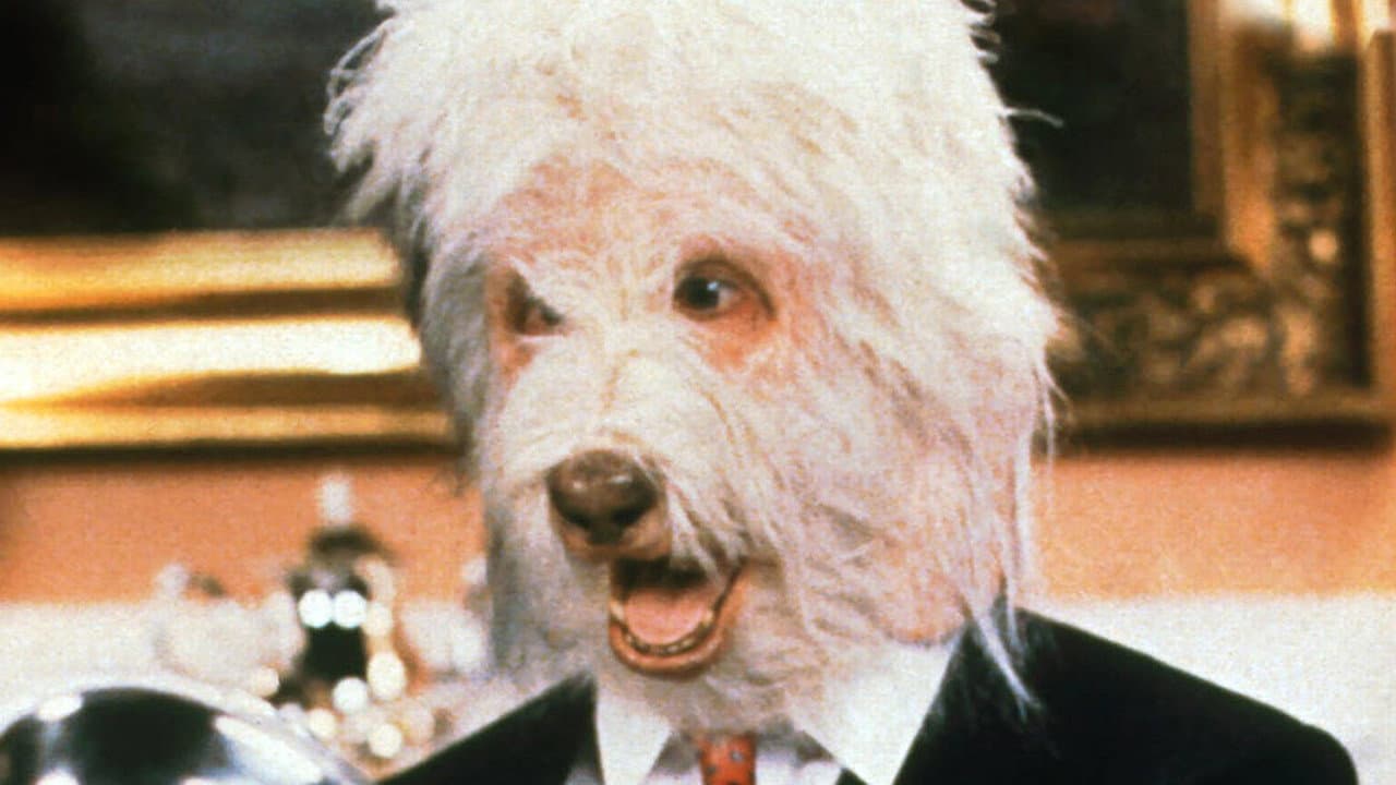 Backdrop of The Return of the Shaggy Dog