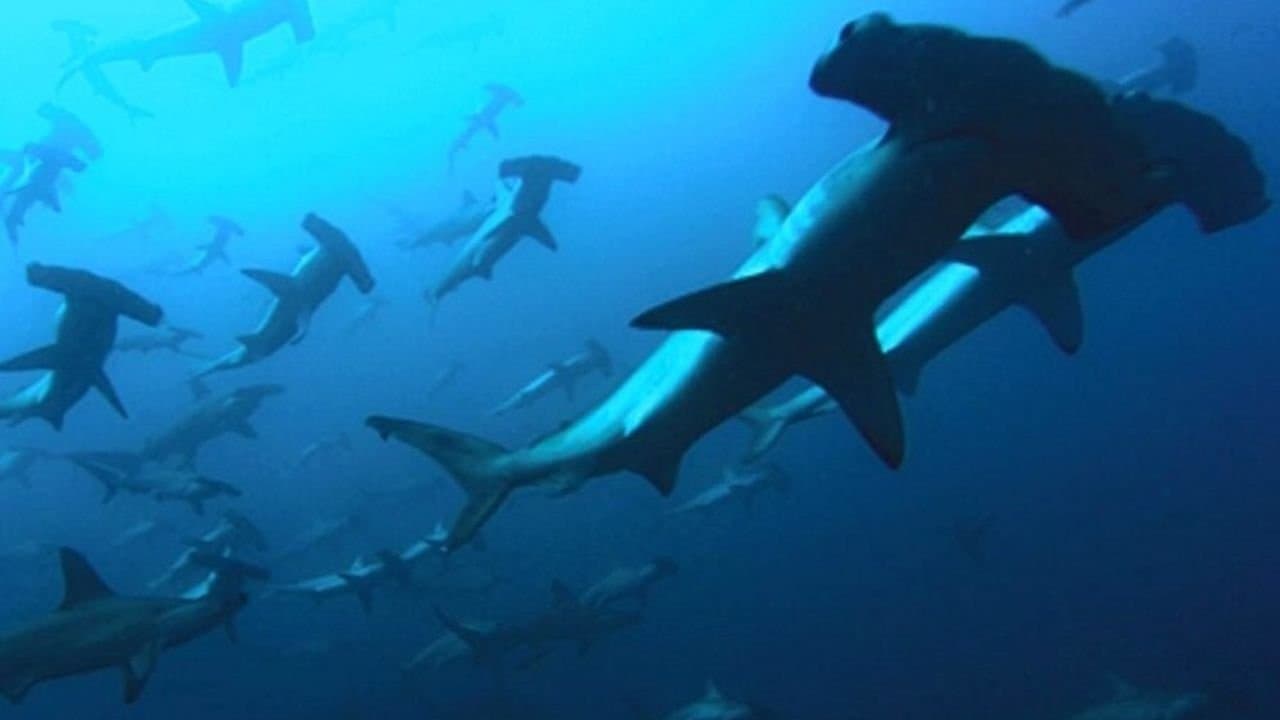 Backdrop of Deep Blue