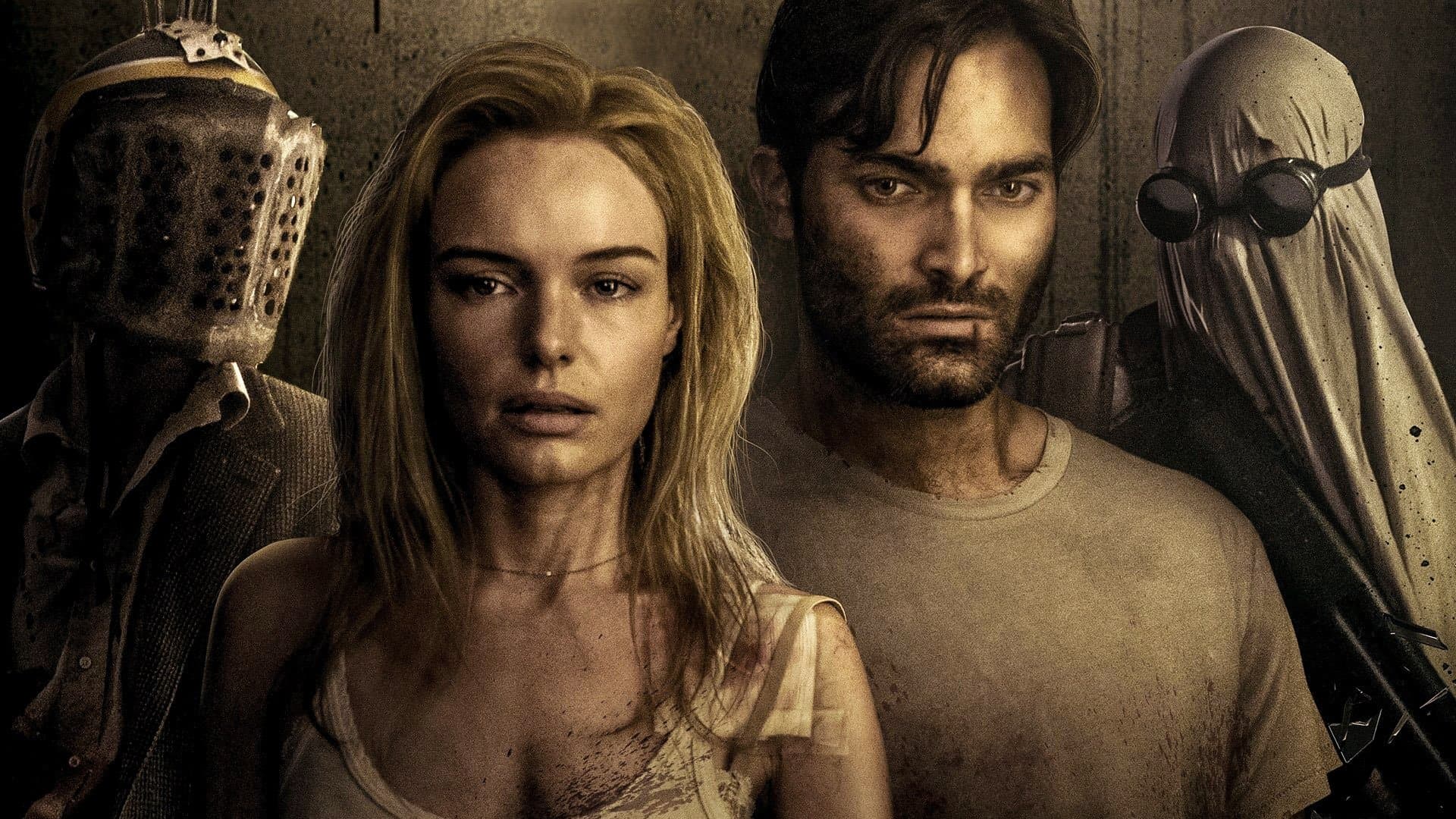 Backdrop of The Domestics