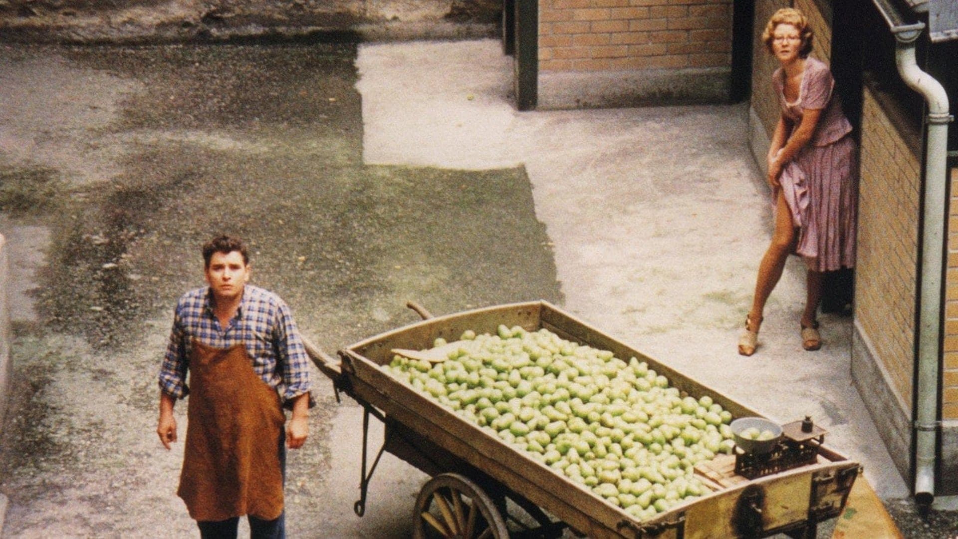Backdrop of The Merchant of Four Seasons