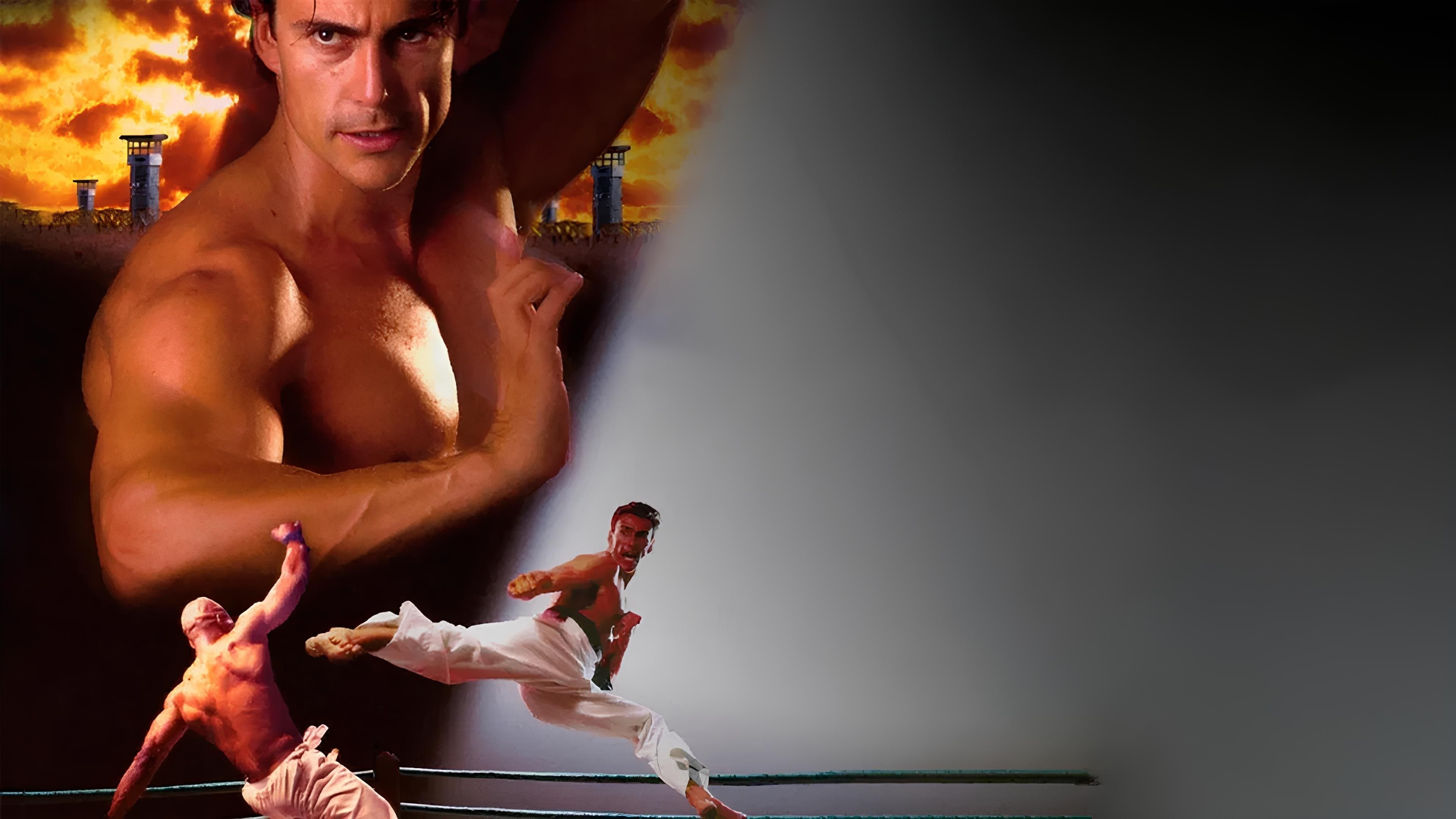 Backdrop of Bloodsport: The Dark Kumite