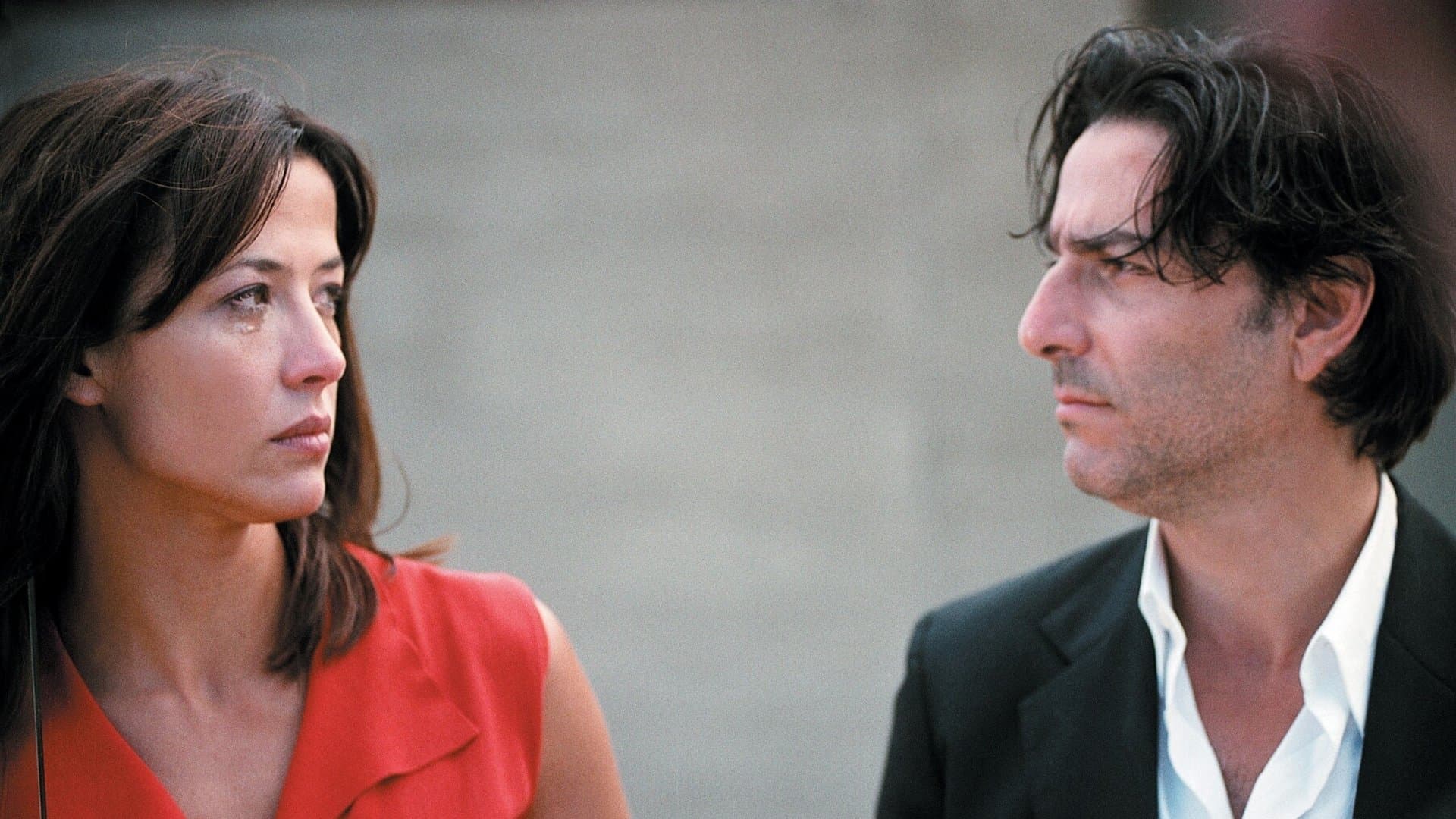 Backdrop of Anthony Zimmer