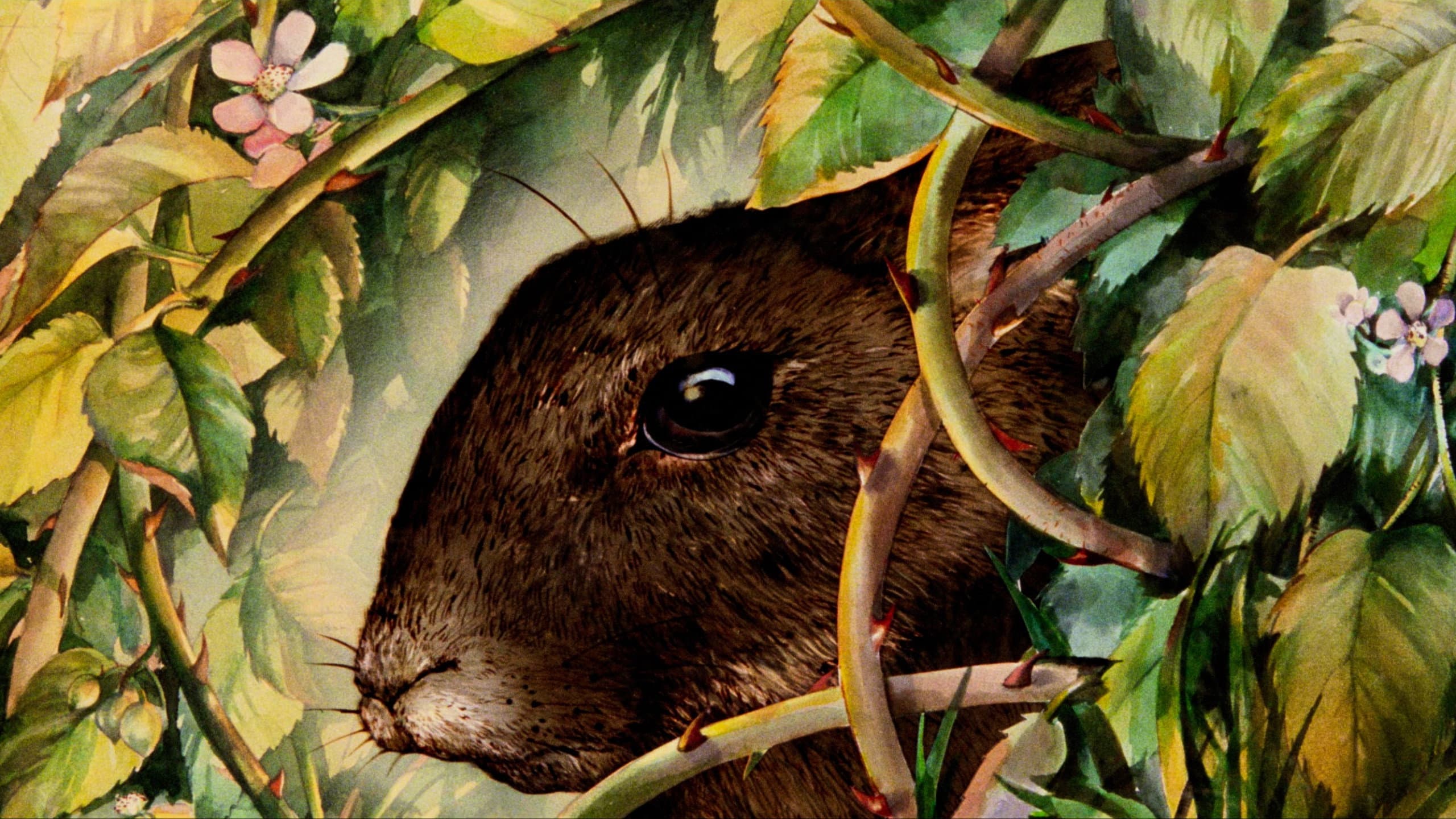 Backdrop of Watership Down