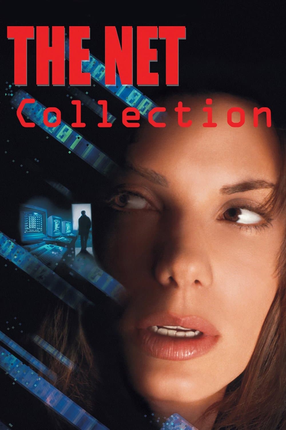 Poster of The Net Collection