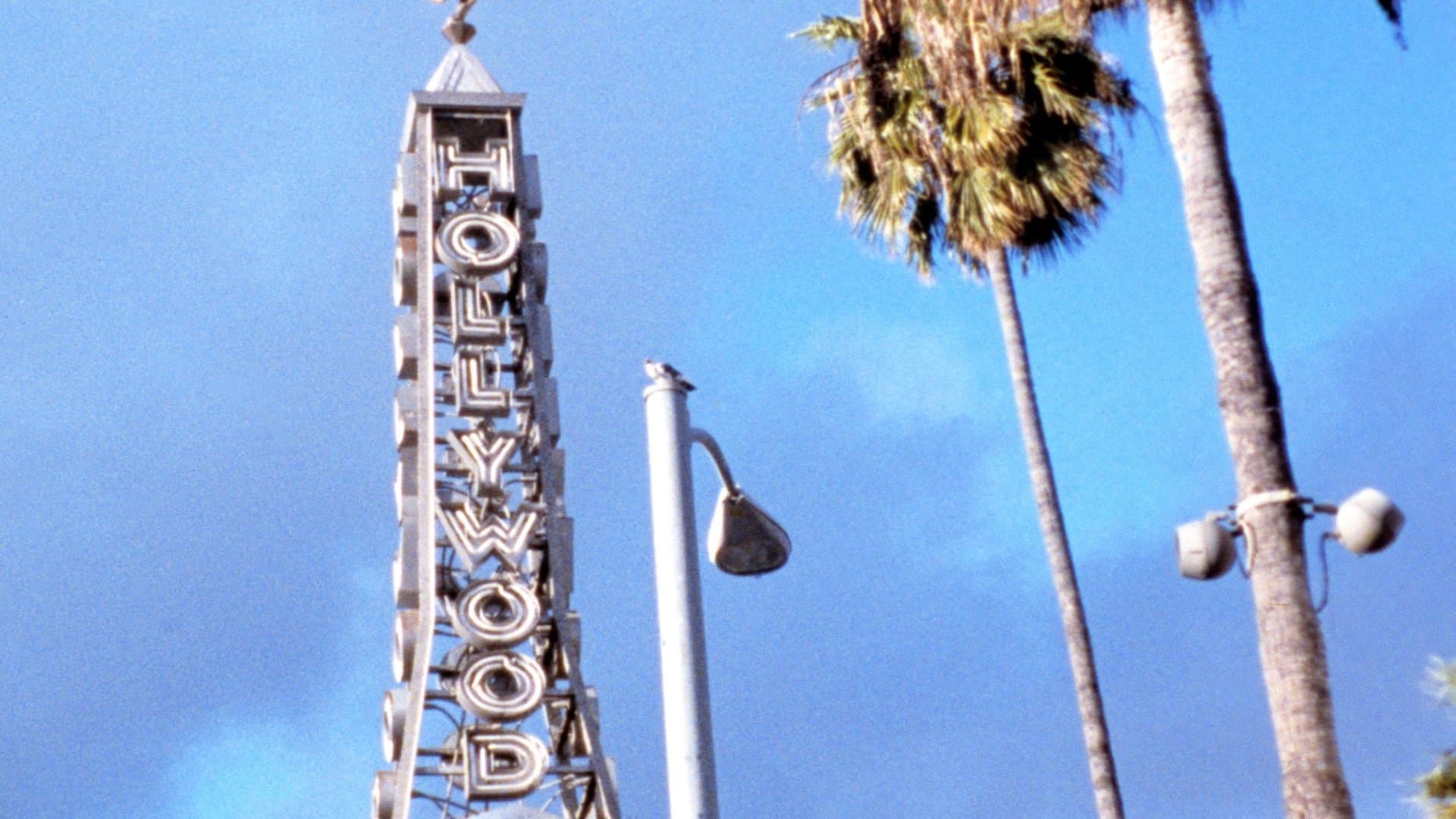 Backdrop of Los Angeles Plays Itself