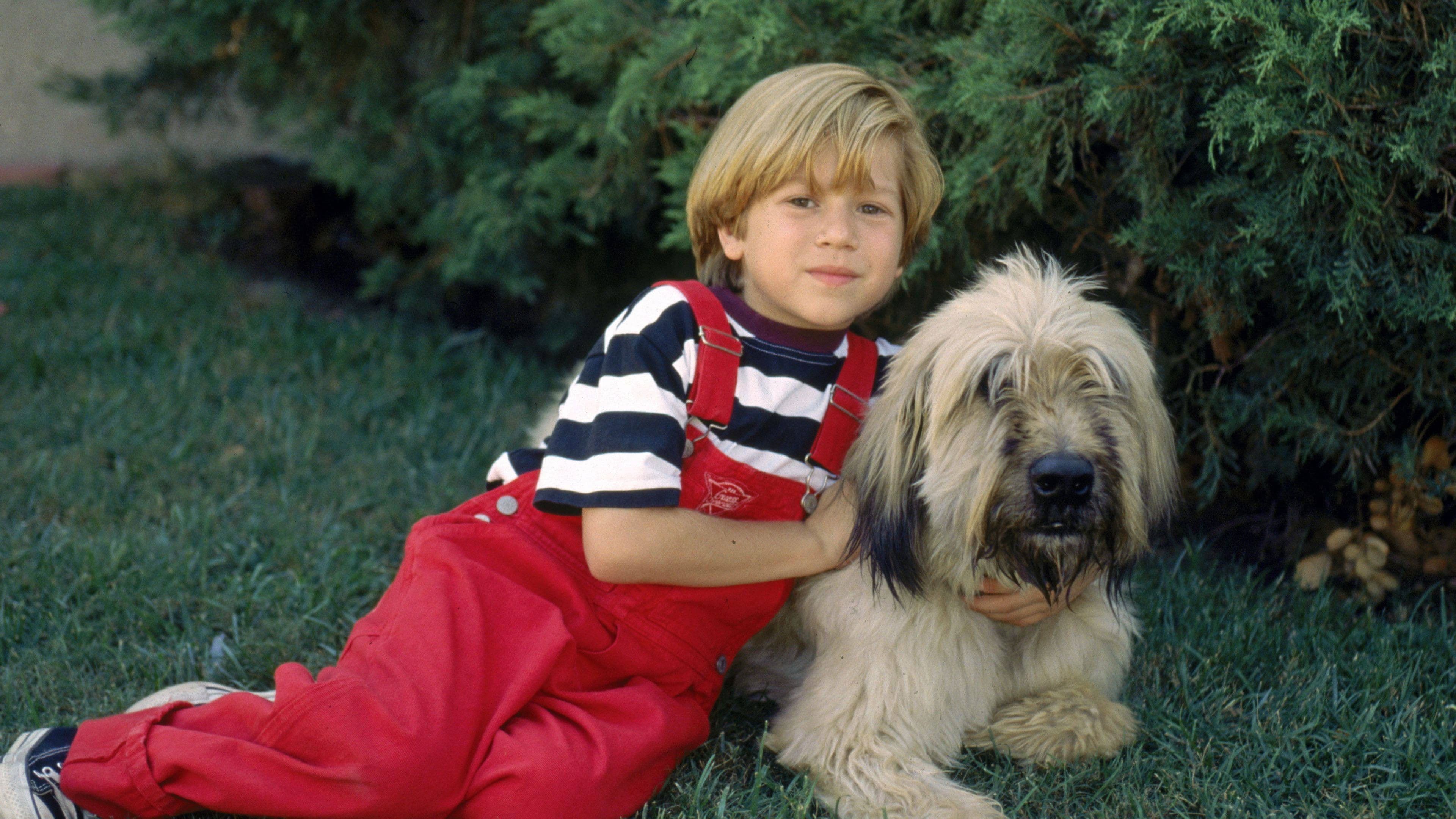 Backdrop of Dennis the Menace Strikes Again!