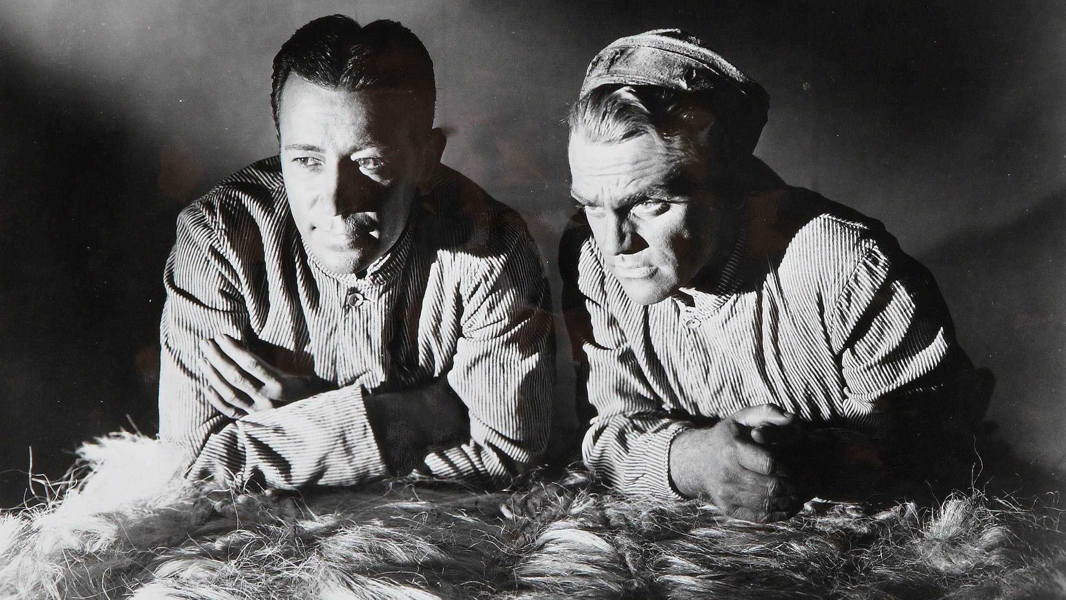 Backdrop of Each Dawn I Die