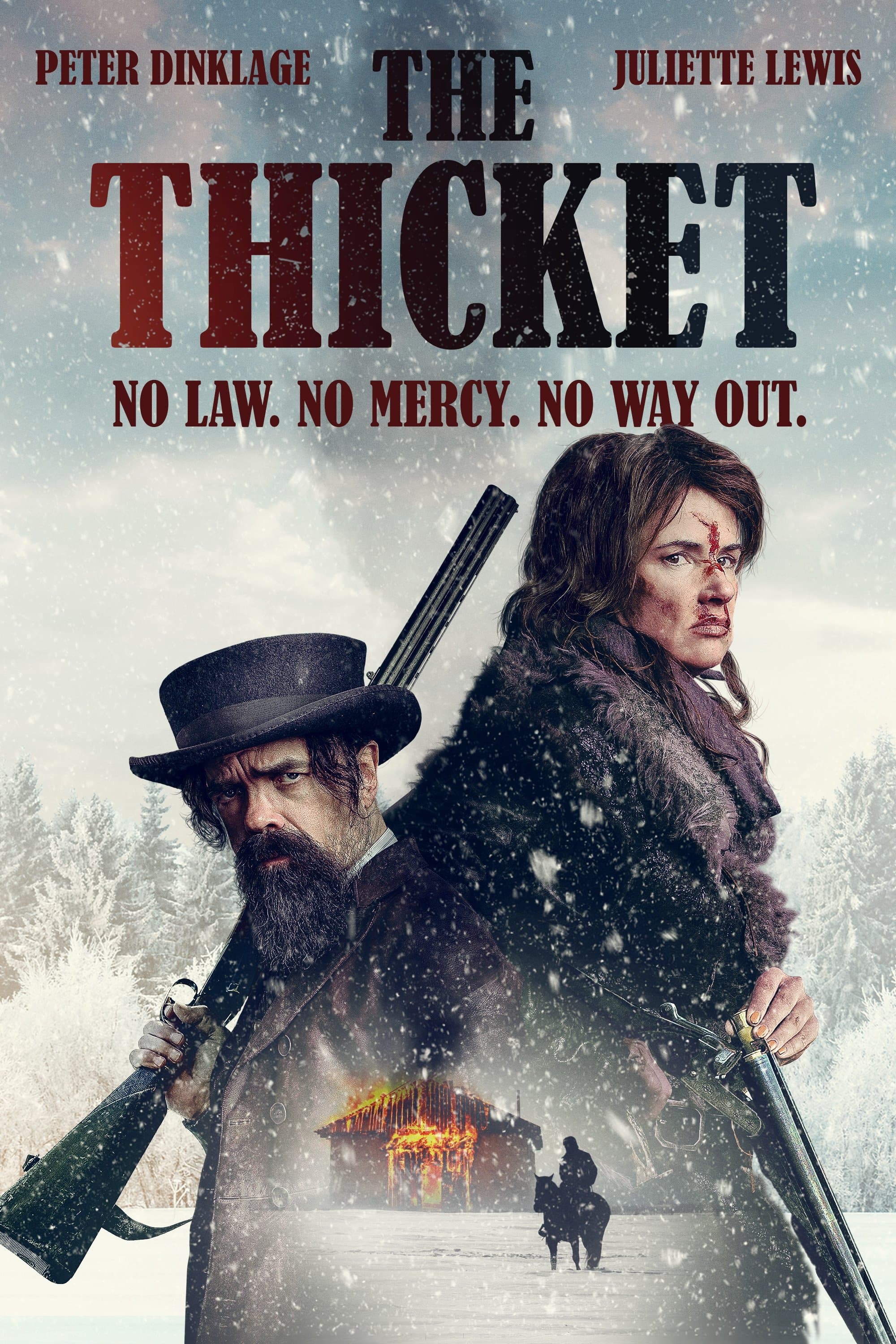 Poster of The Thicket