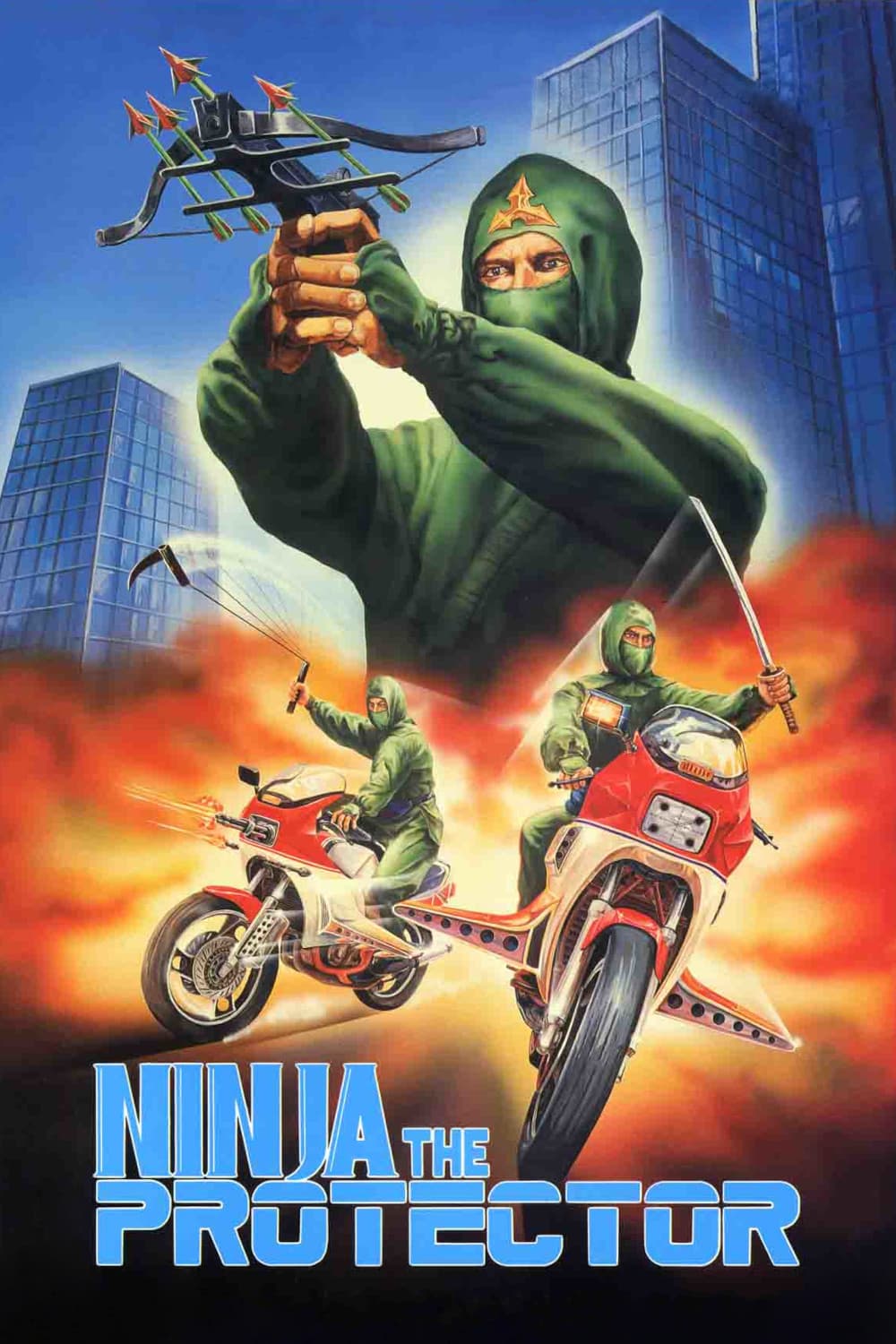 Poster of Ninja the Protector