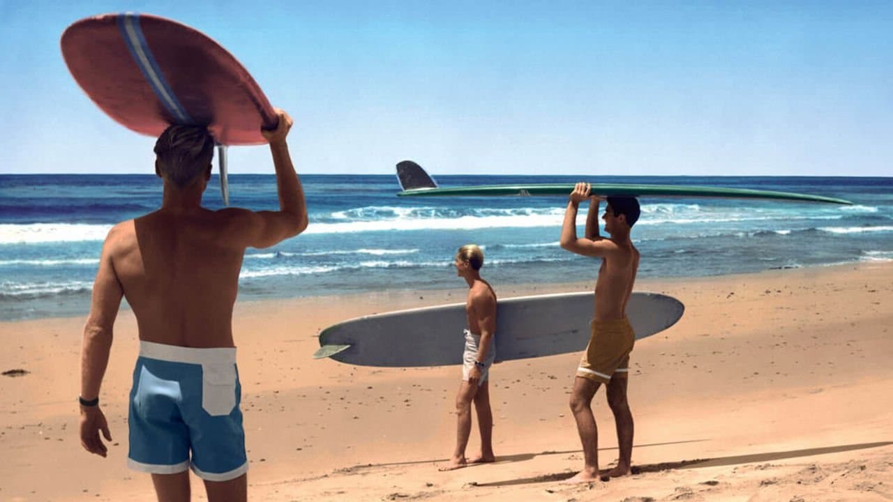 Backdrop of The Endless Summer