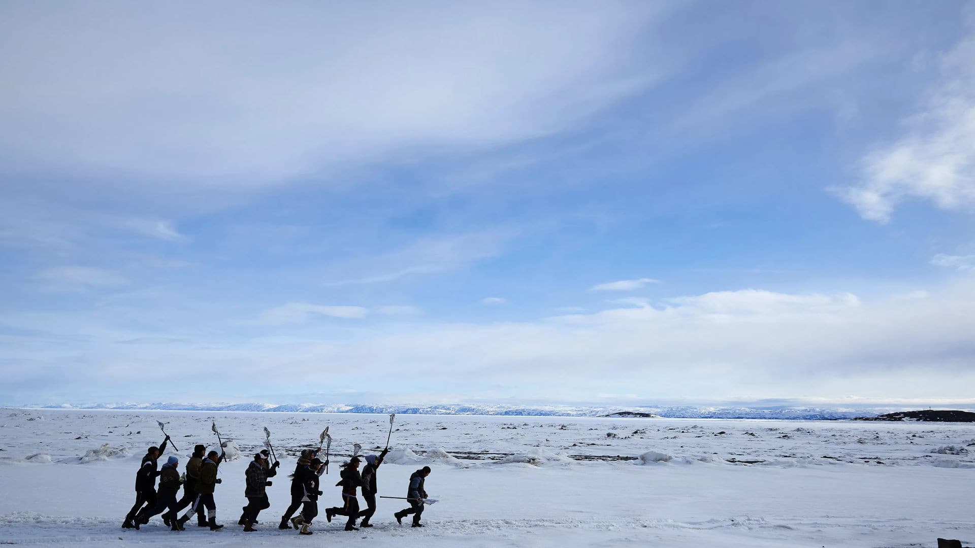 Backdrop of The Grizzlies