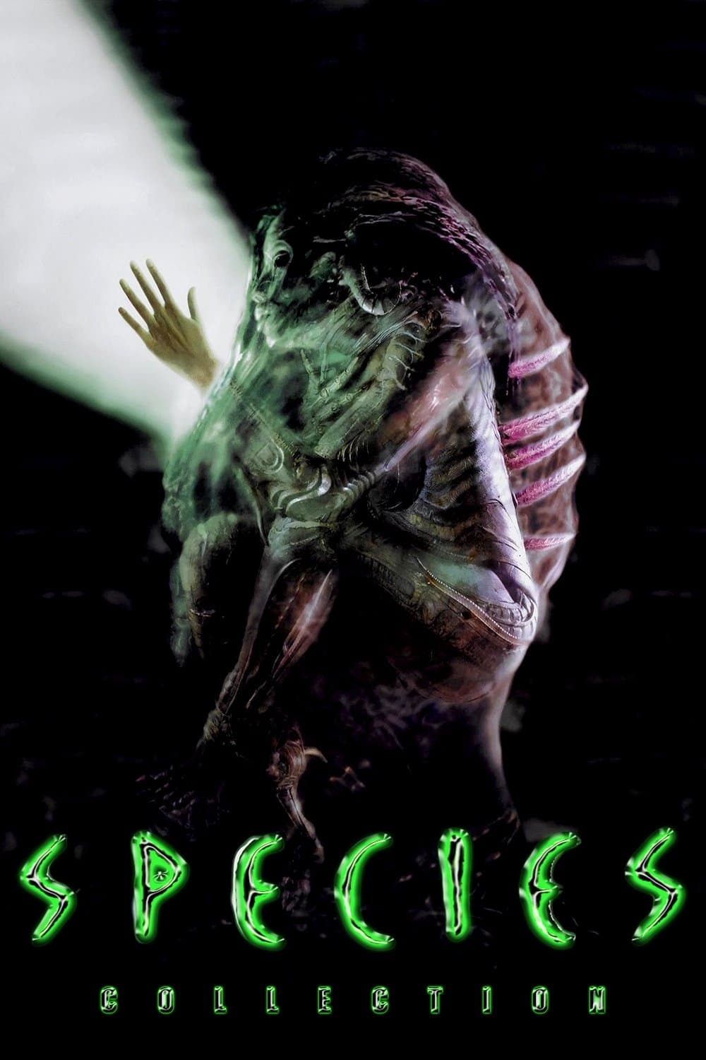 Poster of Species Collection