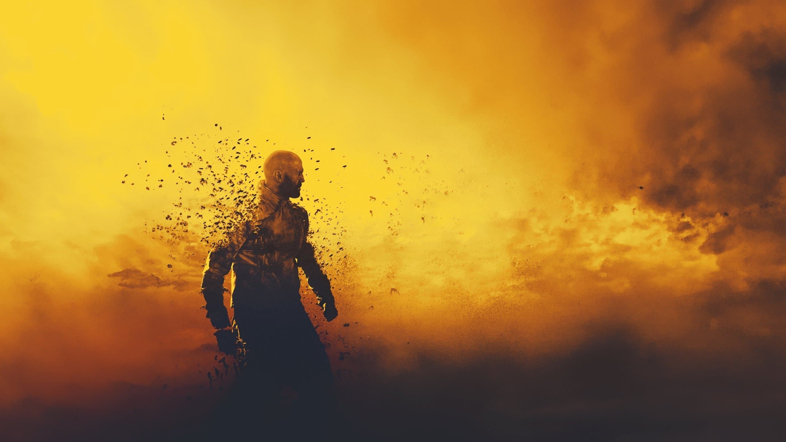 Backdrop of The Beekeeper Collection