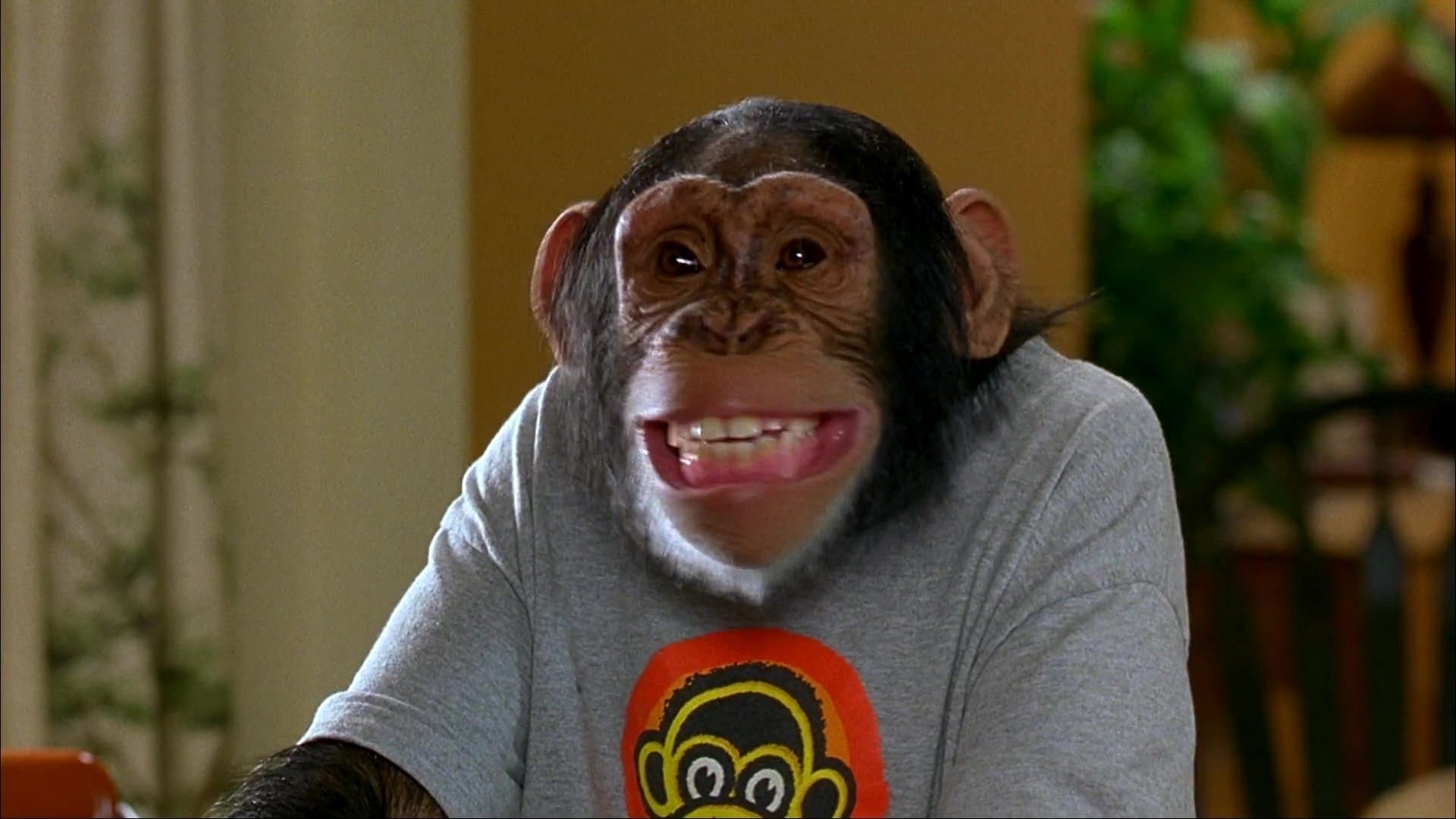 Backdrop of MXP: Most Xtreme Primate