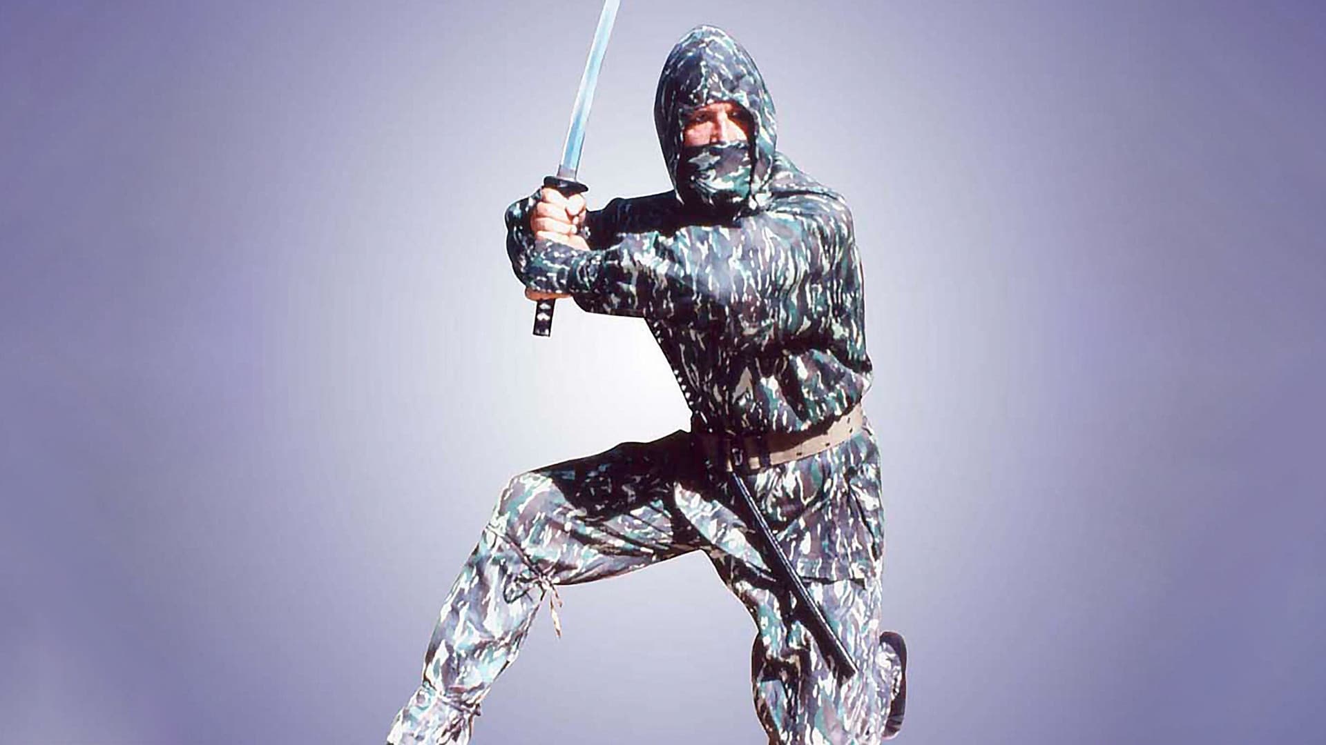 Backdrop of Ninja Terminator