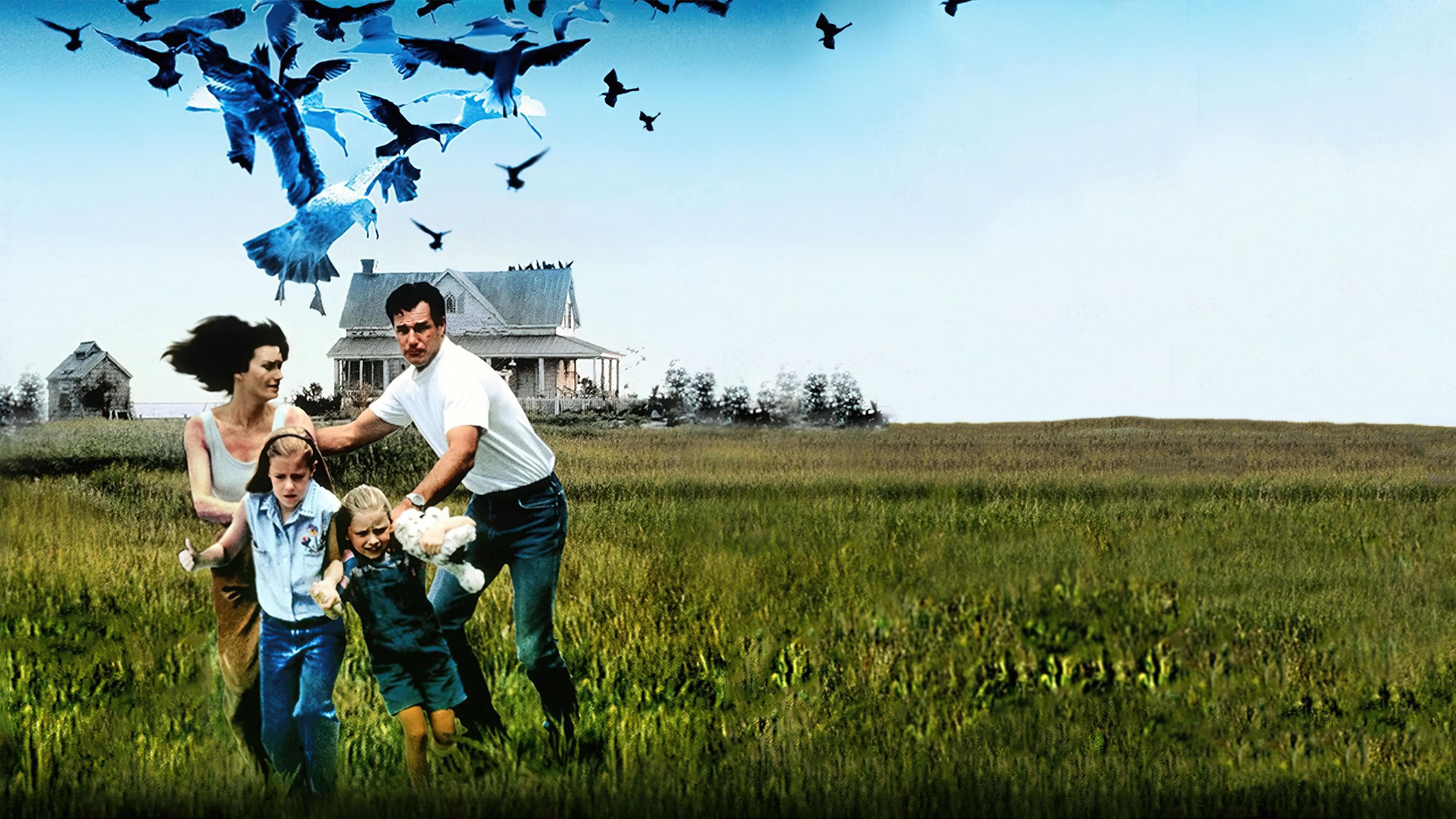 Backdrop of The Birds II: Land's End