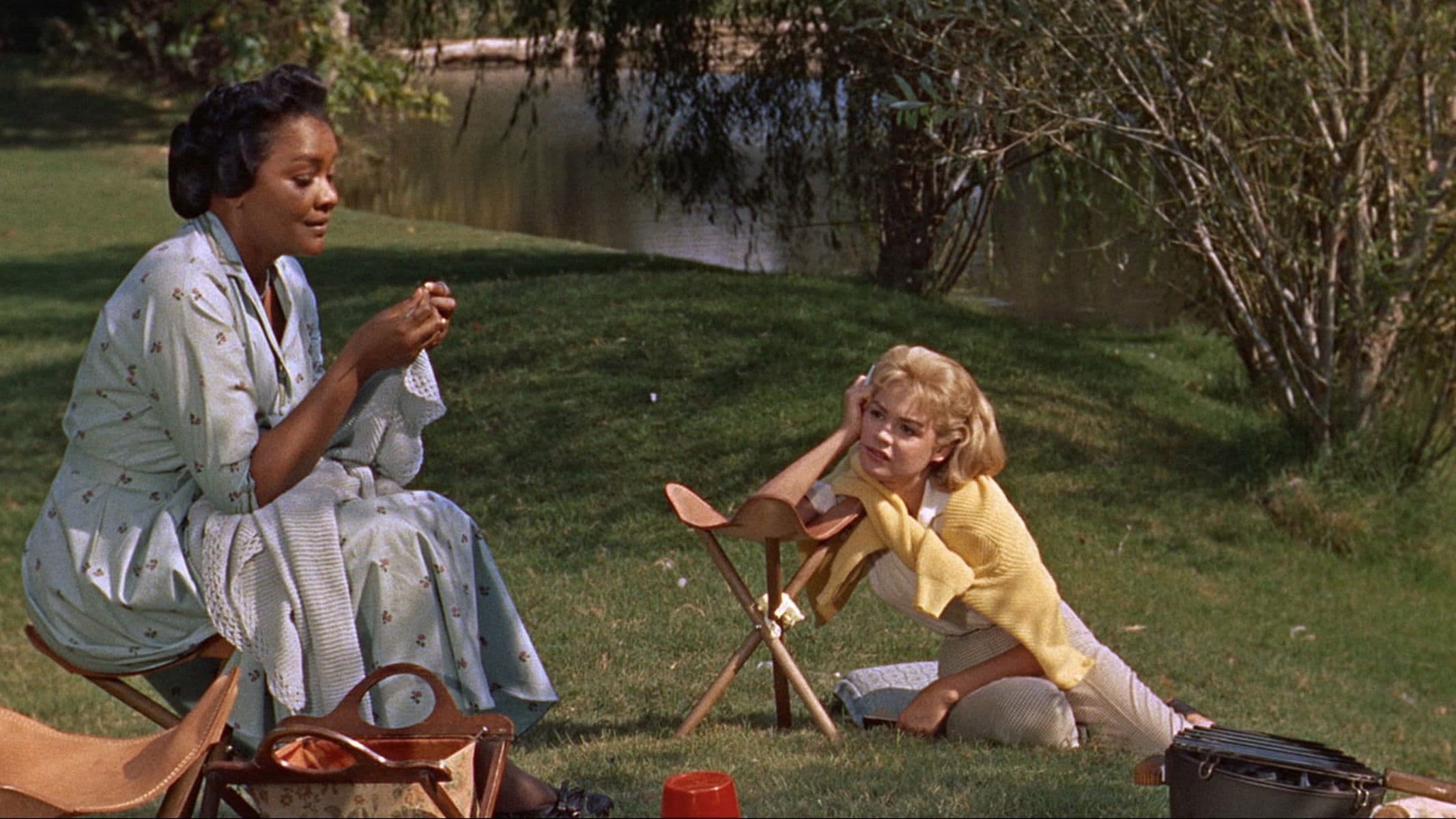 Backdrop of Imitation of Life