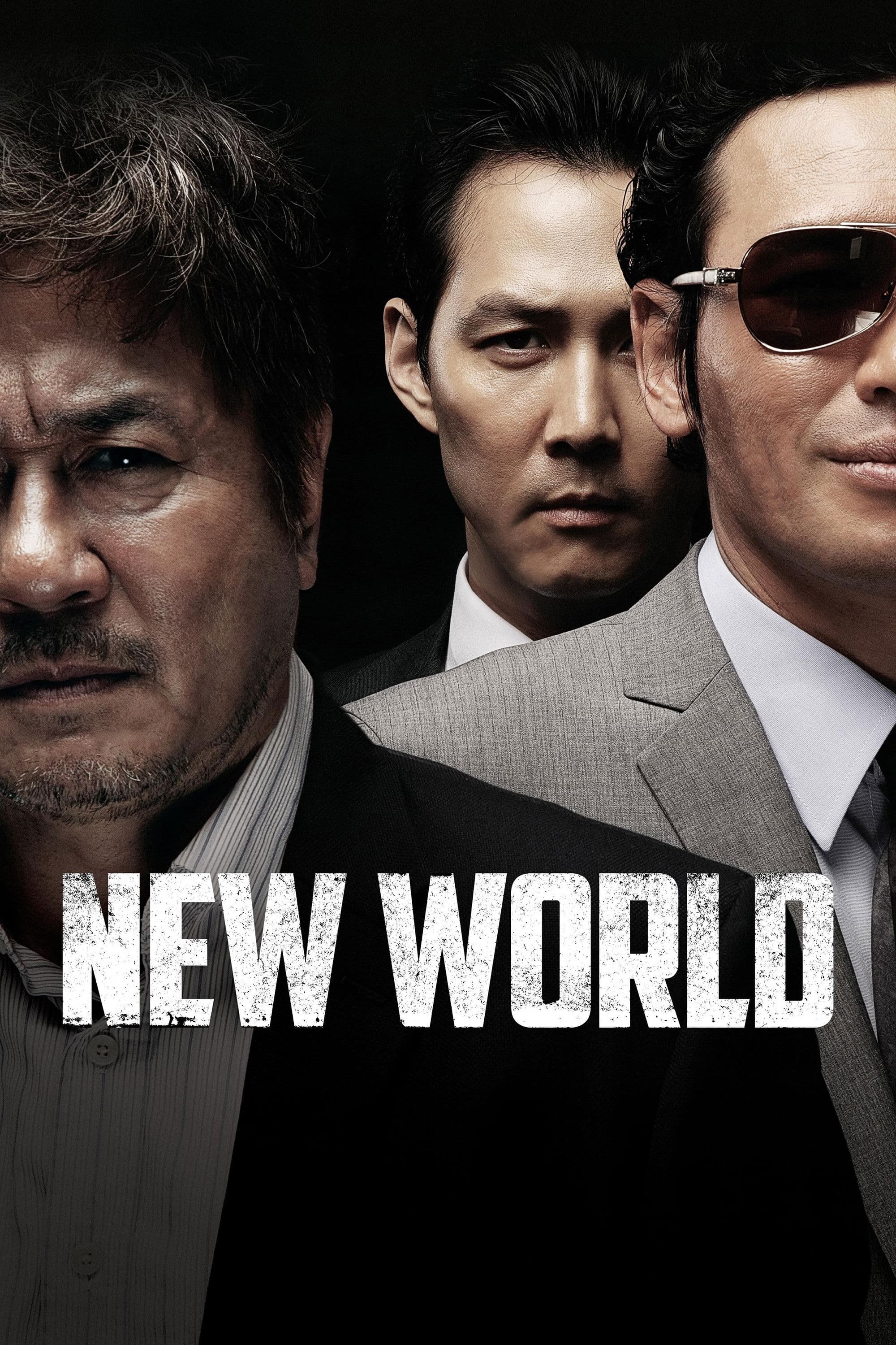 Poster of New World