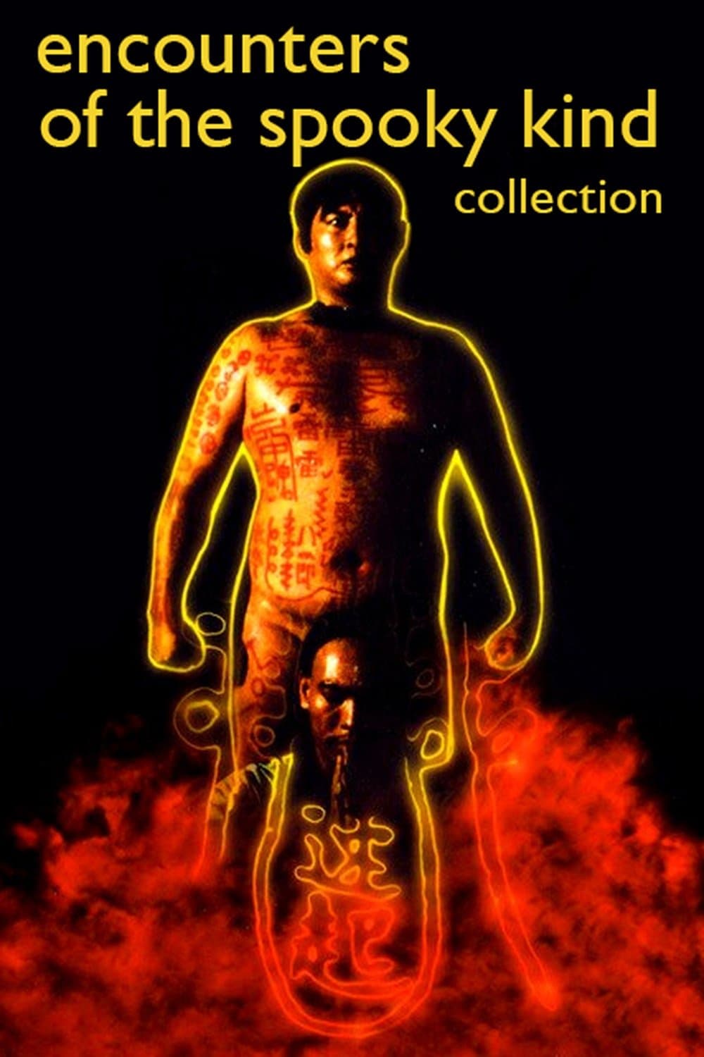 Poster of Encounters of the Spooky Kind Collection