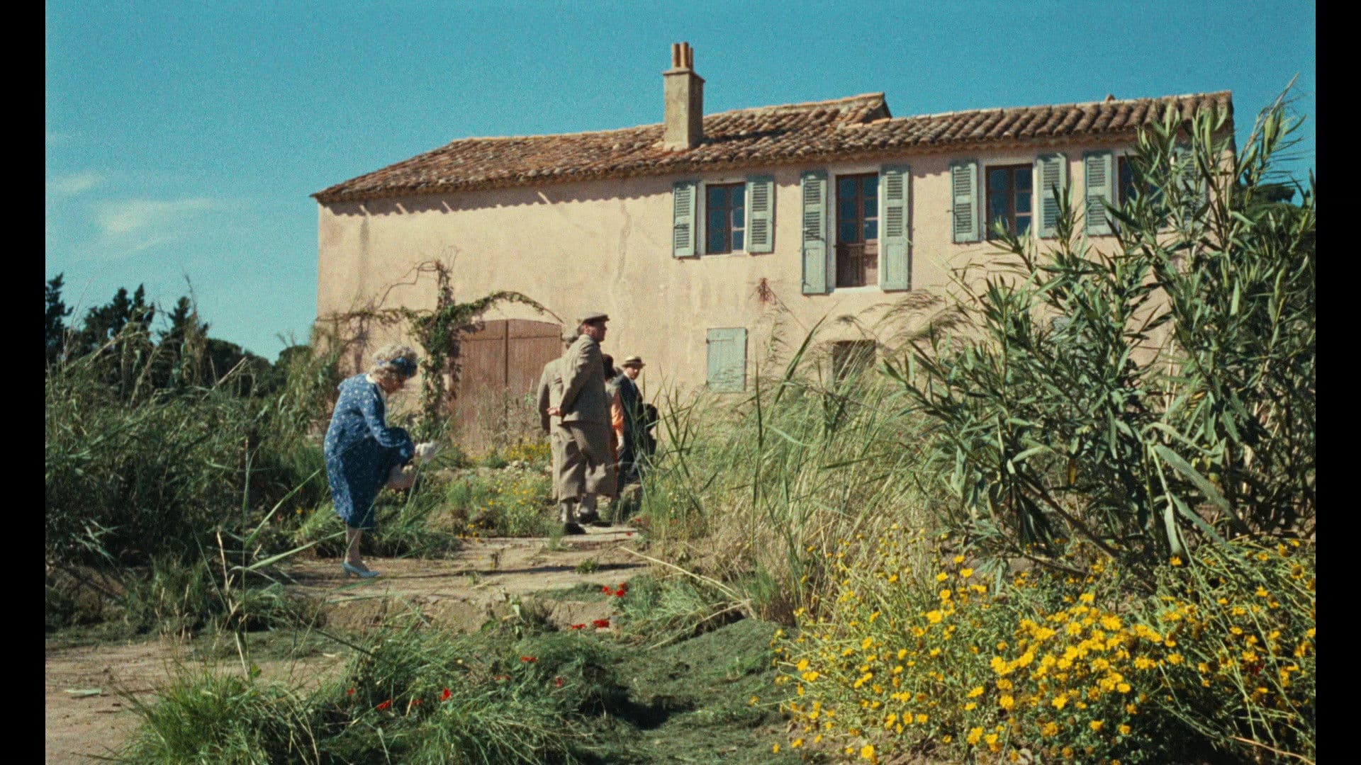 Backdrop of The Annuity