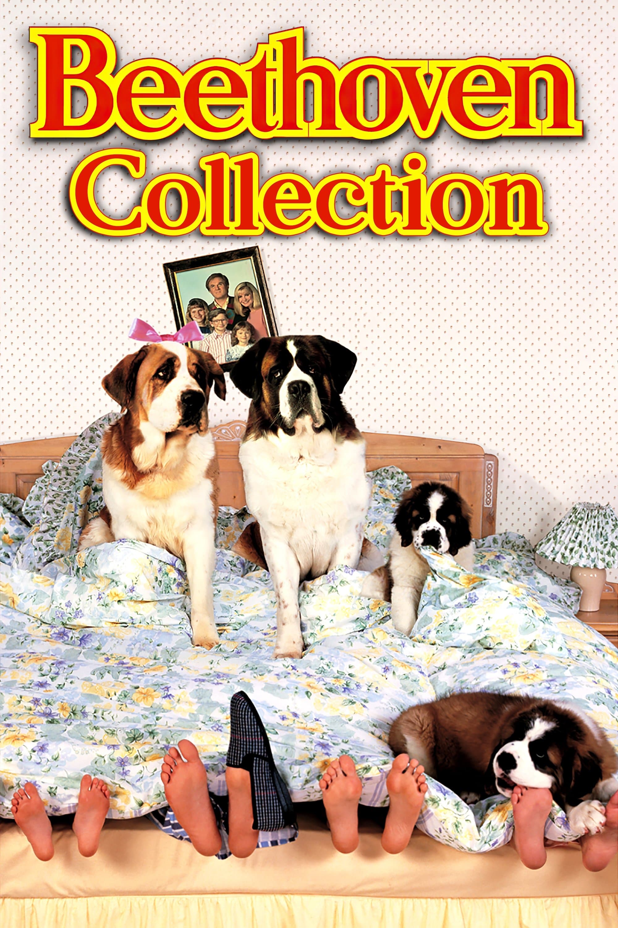 Poster of Beethoven Collection