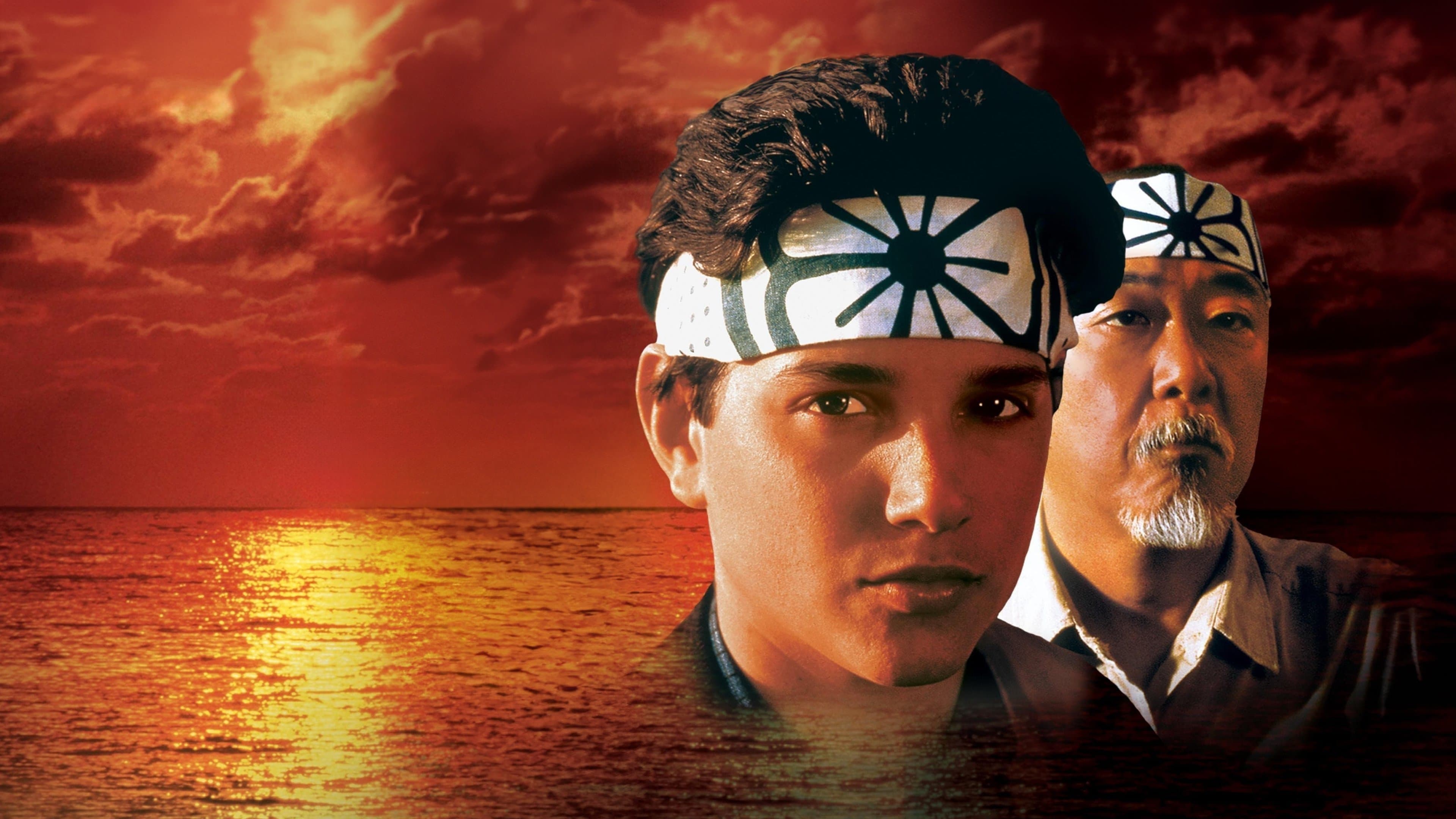 Backdrop of The Karate Kid Collection