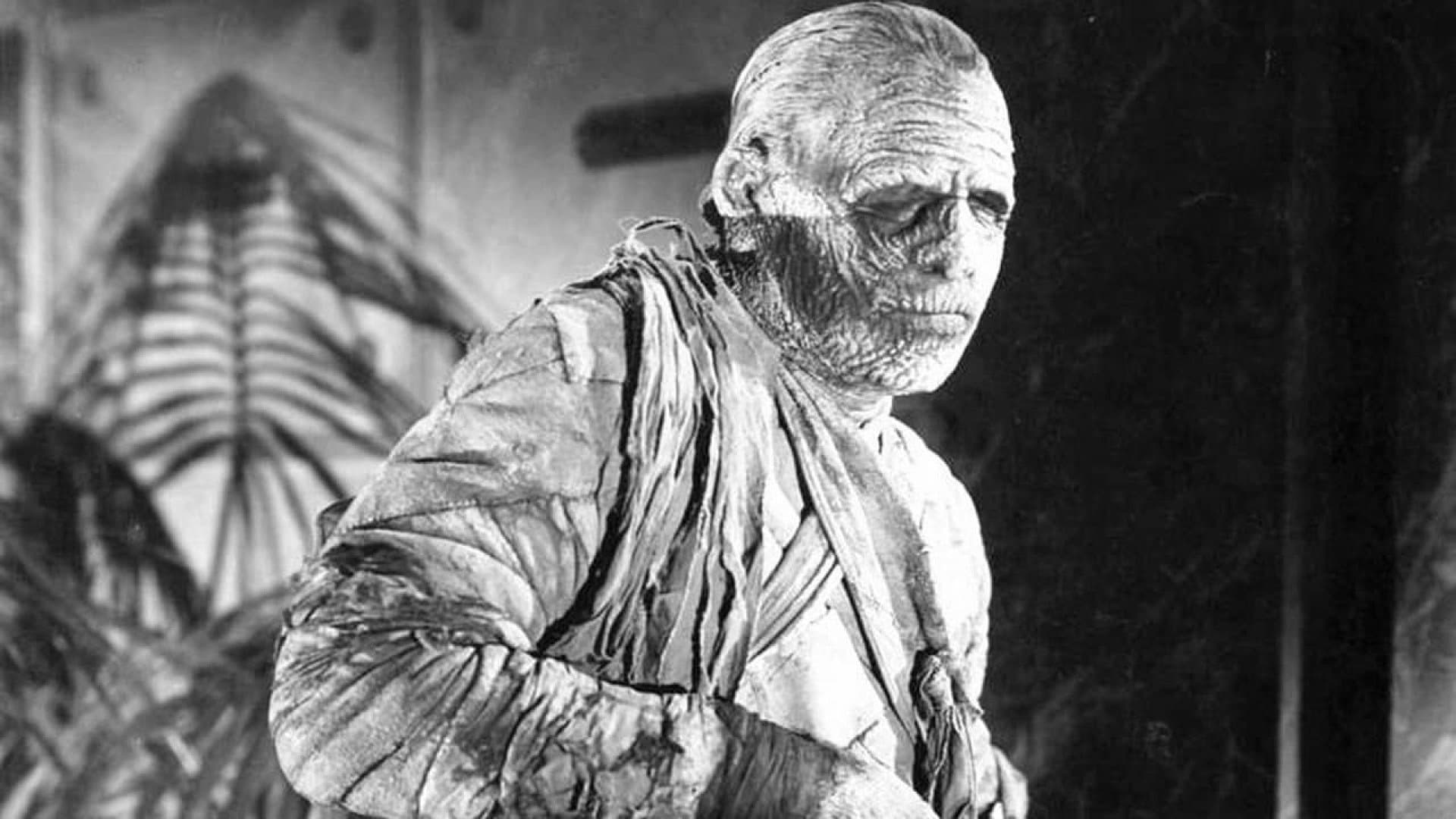 Backdrop of The Mummy's Tomb