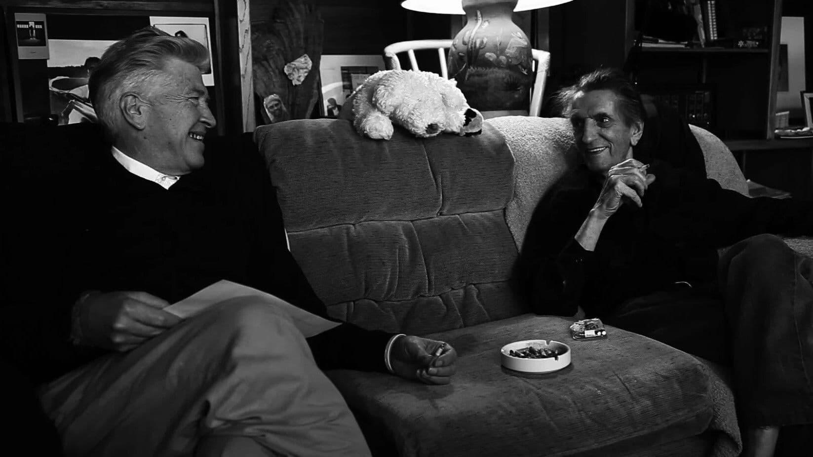 Backdrop of Harry Dean Stanton: Partly Fiction