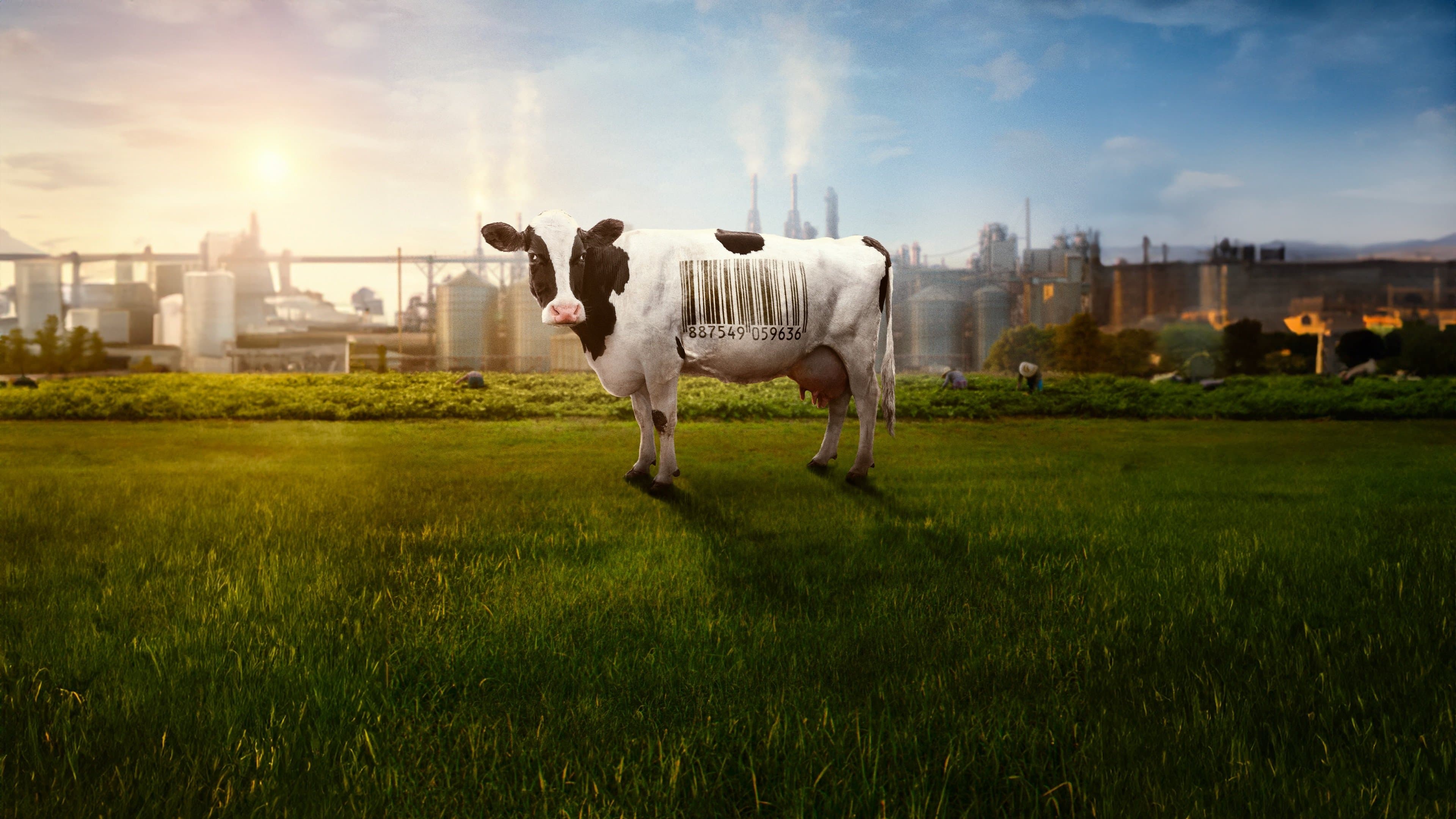 Backdrop of Food, Inc. 2