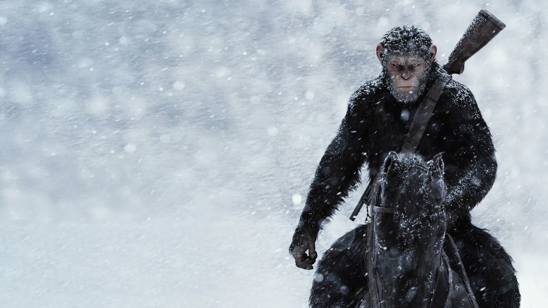 Backdrop of War for the Planet of the Apes