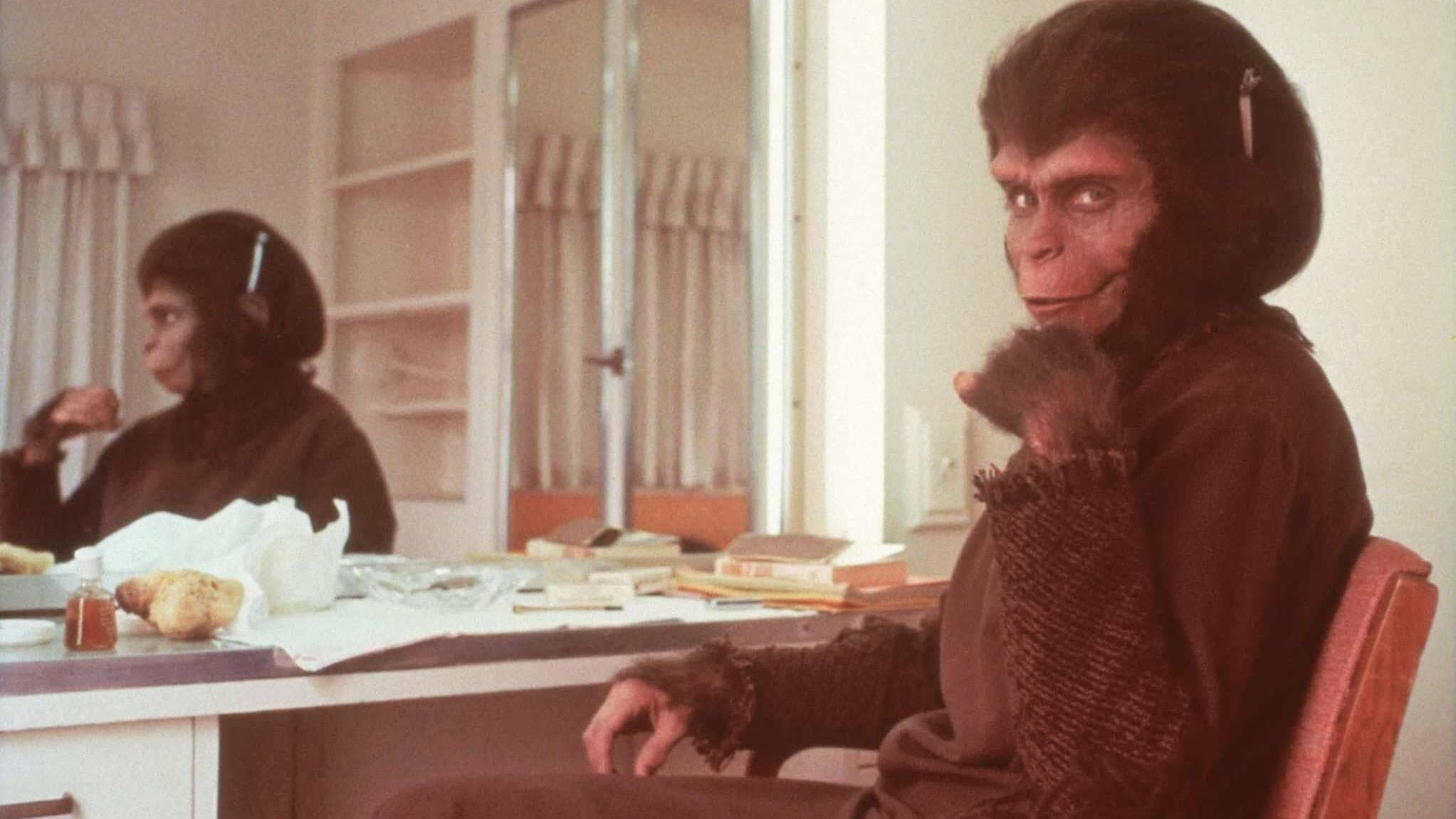 Backdrop of Behind the Planet of the Apes