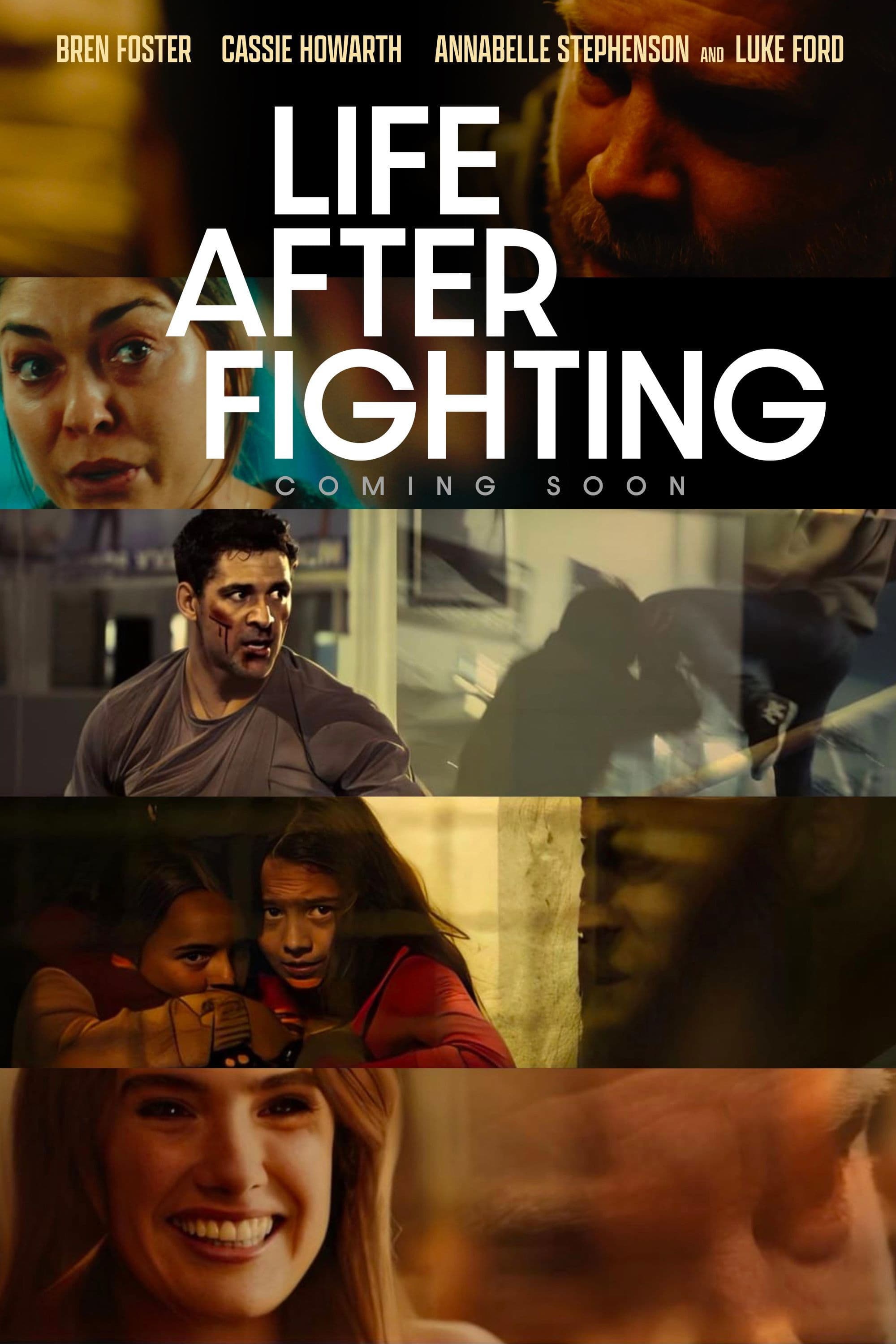 Poster of Life After Fighting
