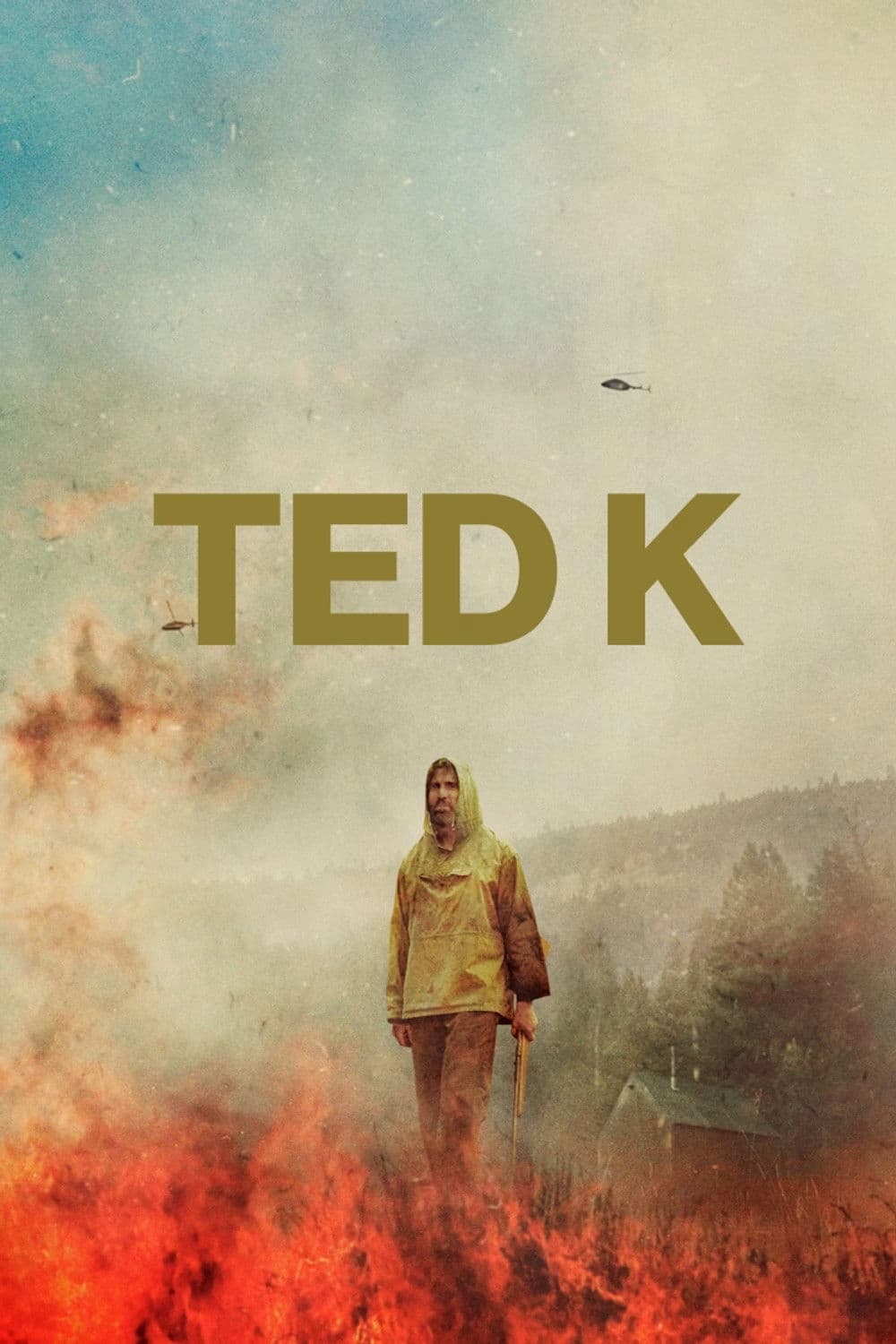 Poster of Ted K