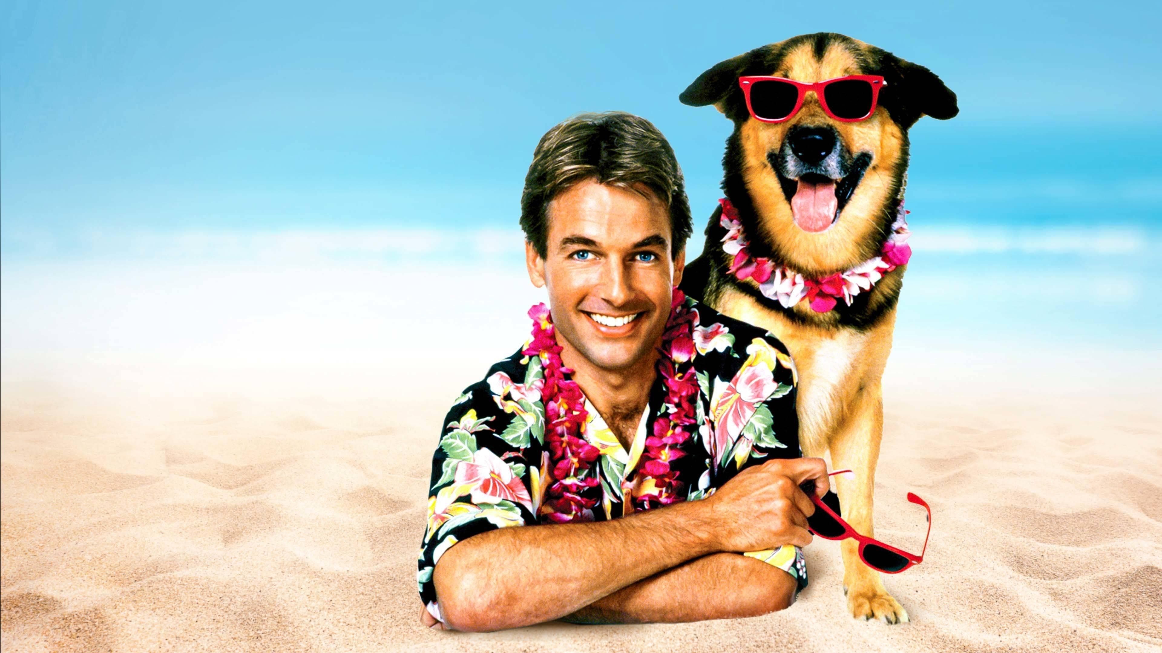 Backdrop of Summer School