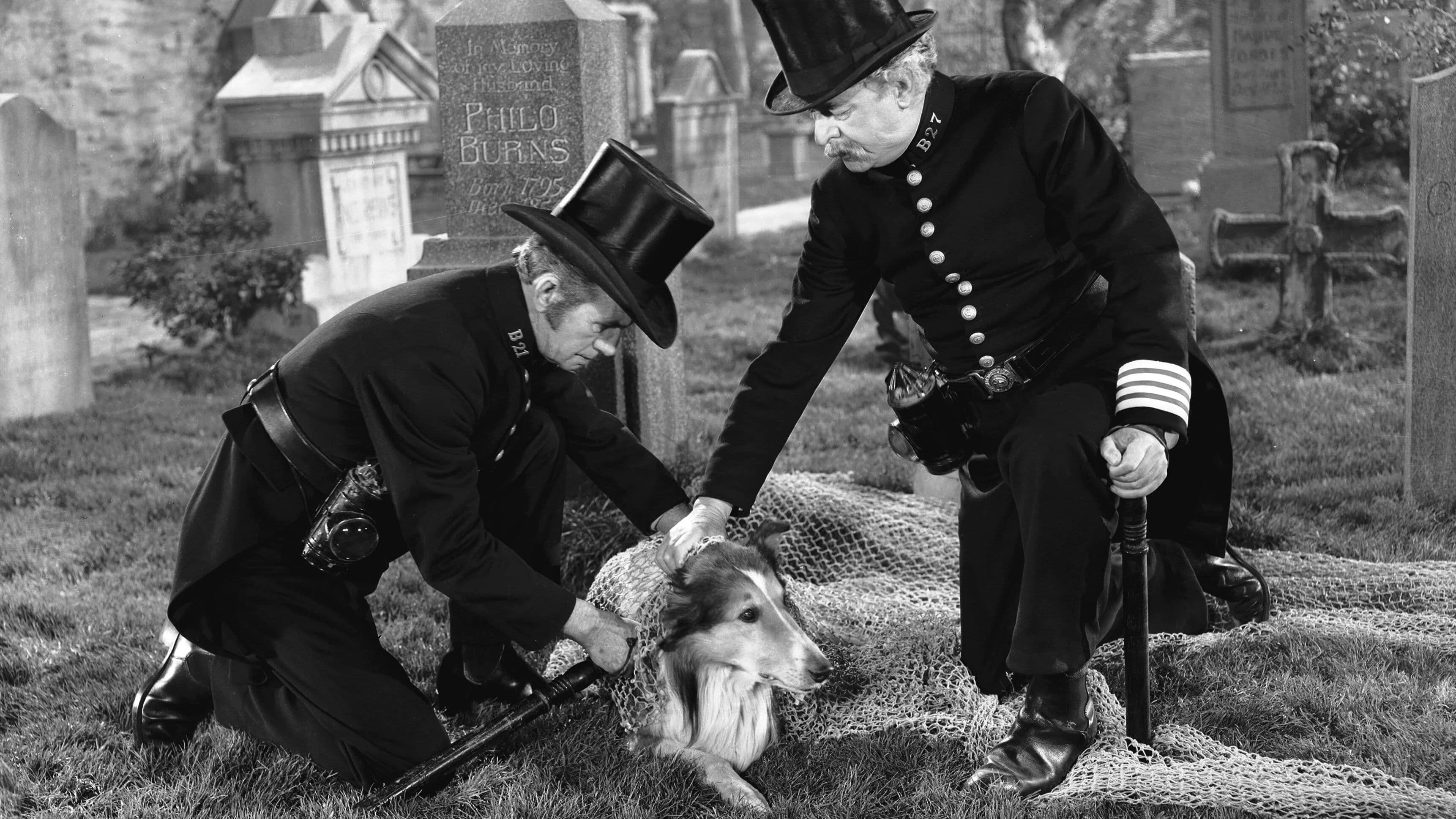 Backdrop of Challenge to Lassie