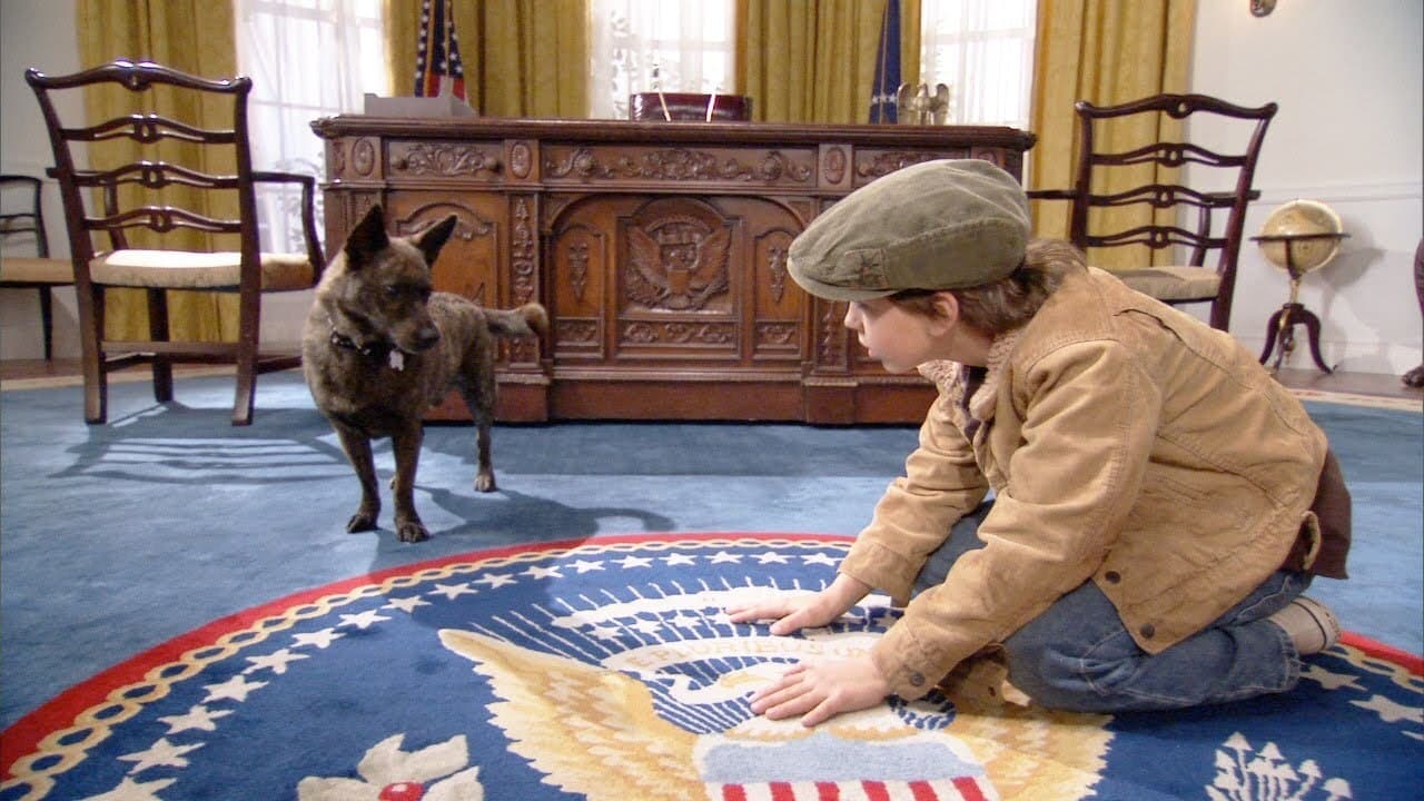 Backdrop of First Dog