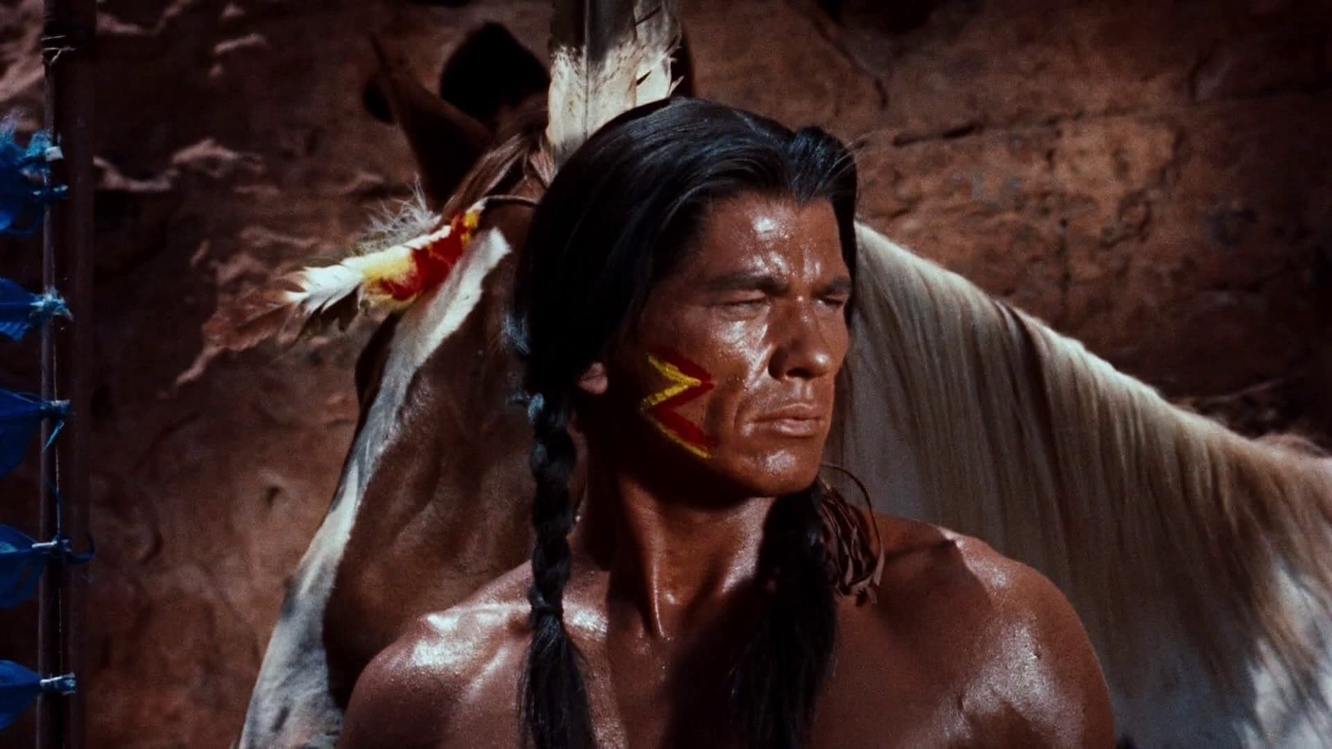 Backdrop of Run of the Arrow