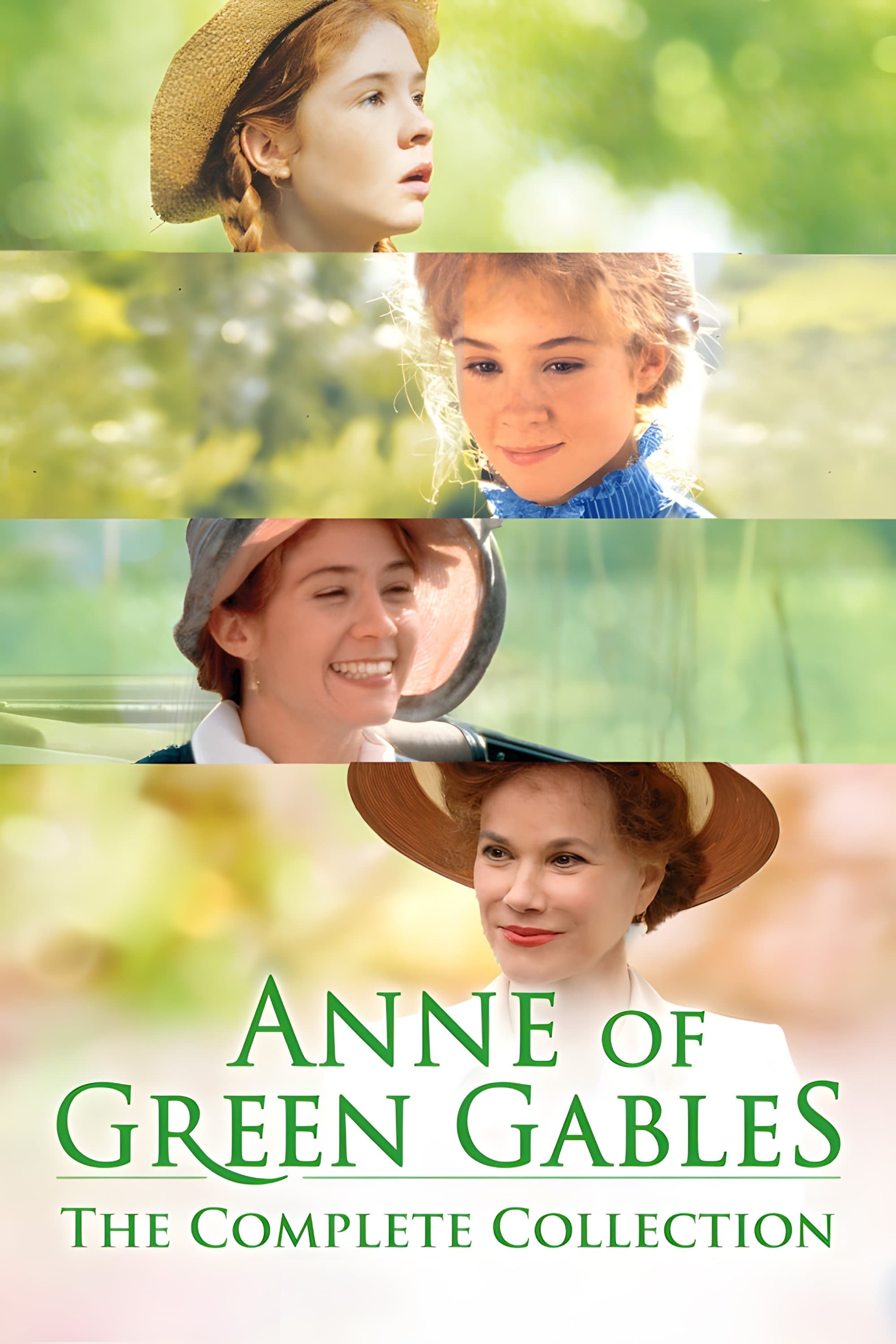 Poster of Anne Of Green Gables Collection