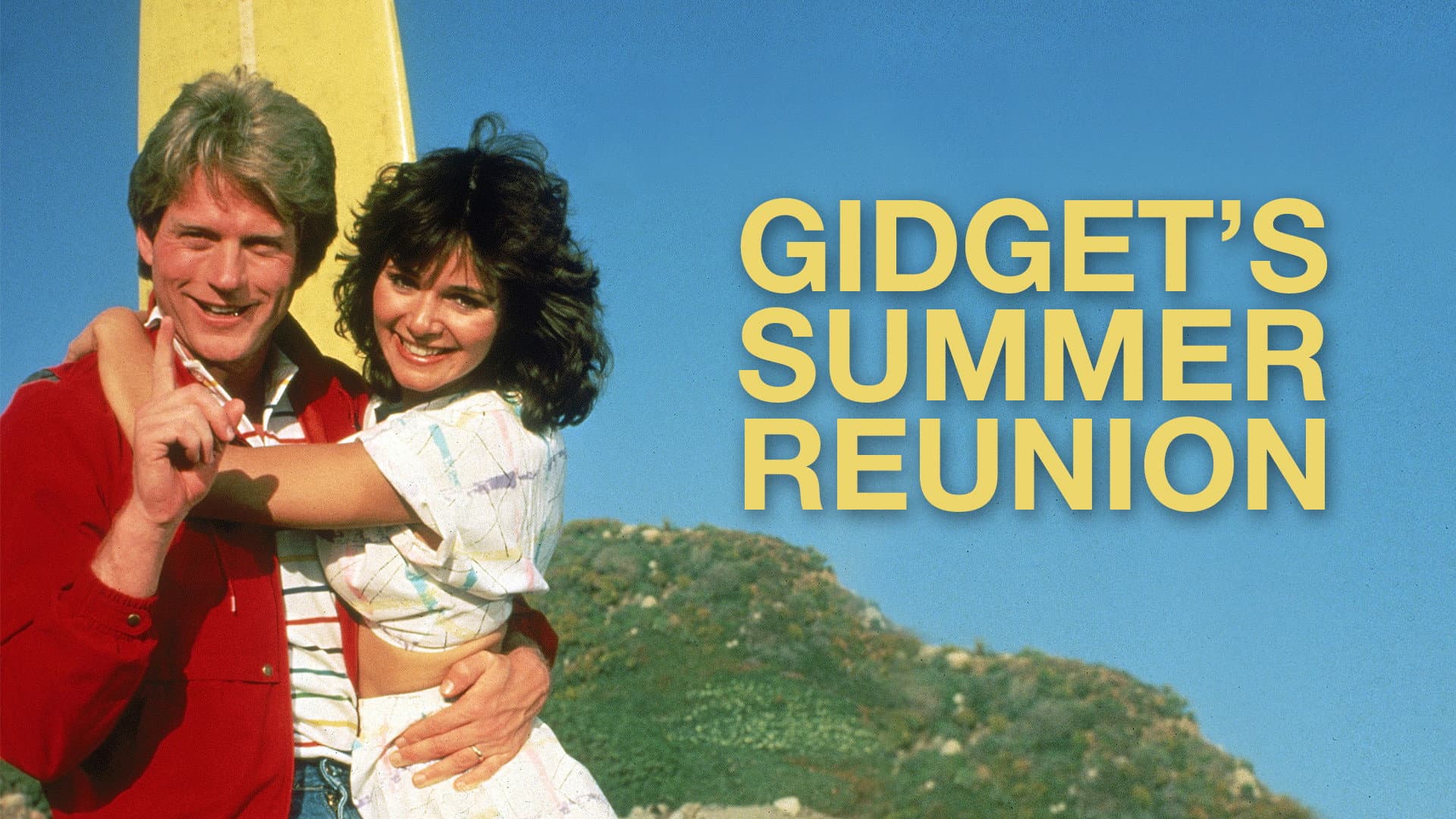 Backdrop of Gidget's Summer Reunion