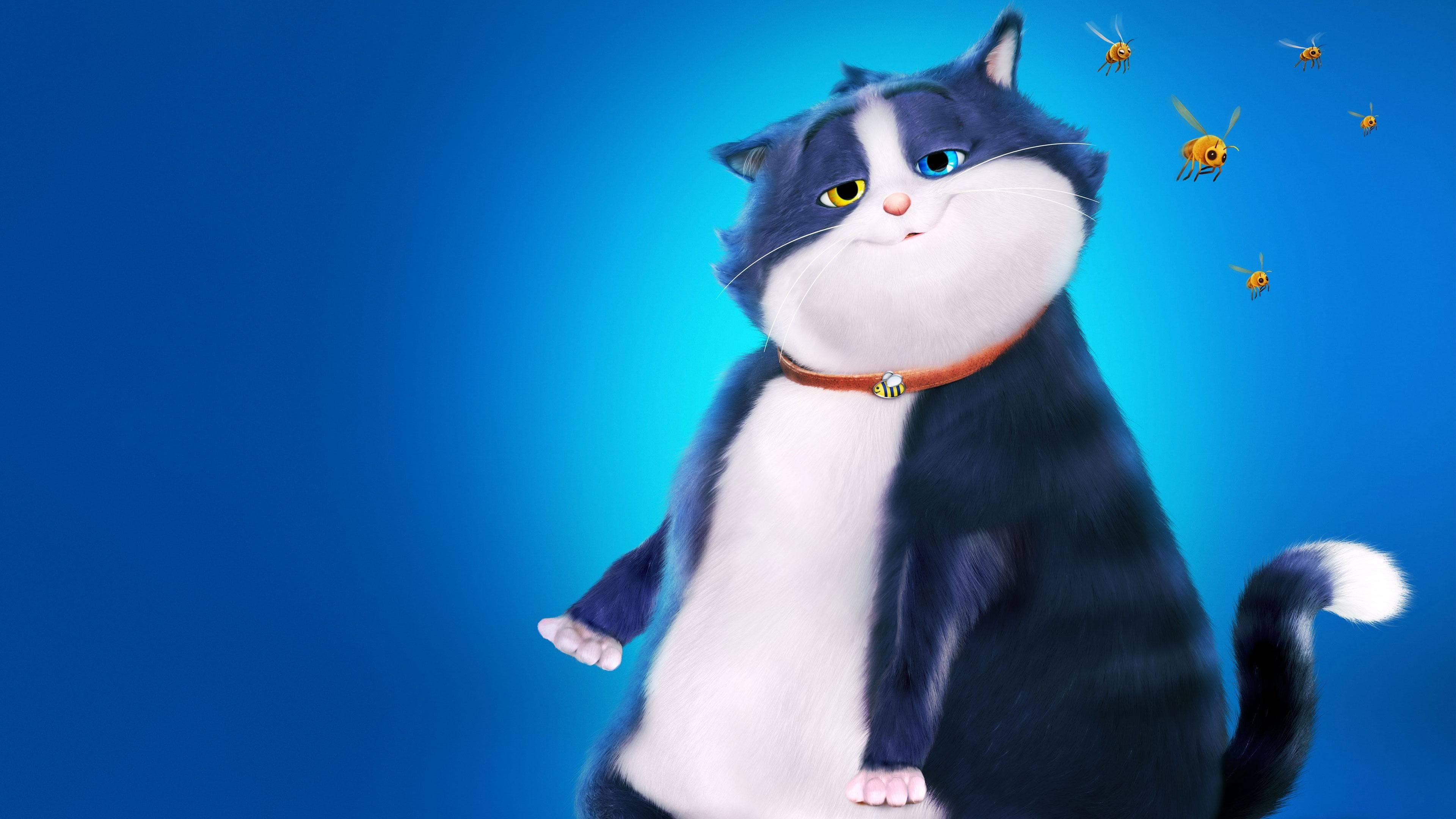 Backdrop of 10 Lives