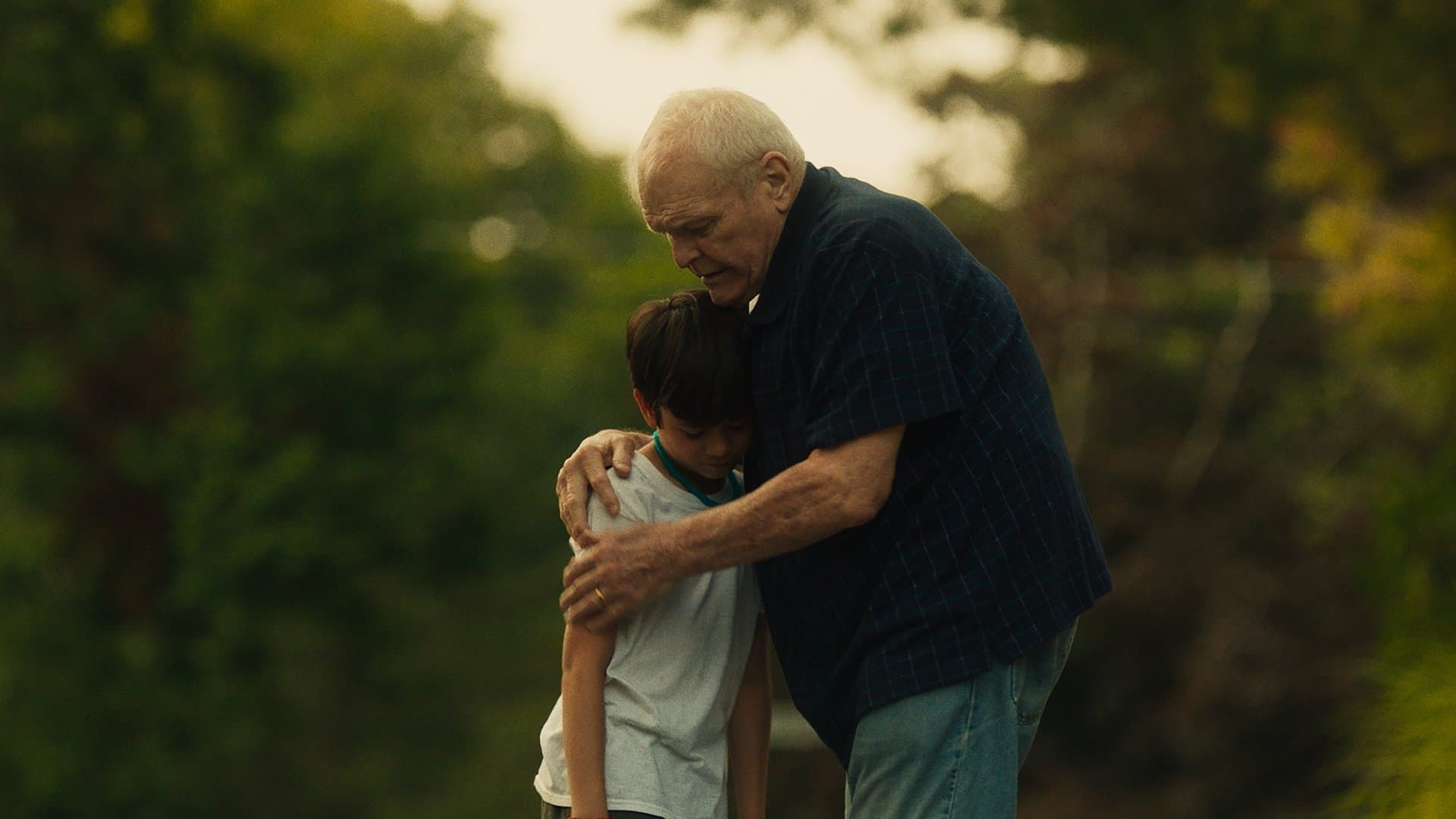 Backdrop of Driveways
