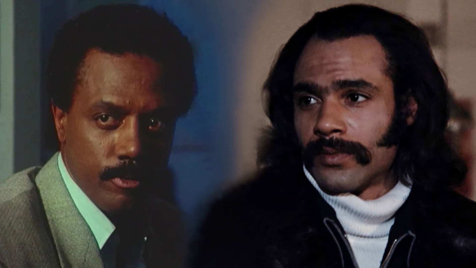 Backdrop of Super Fly Trilogy