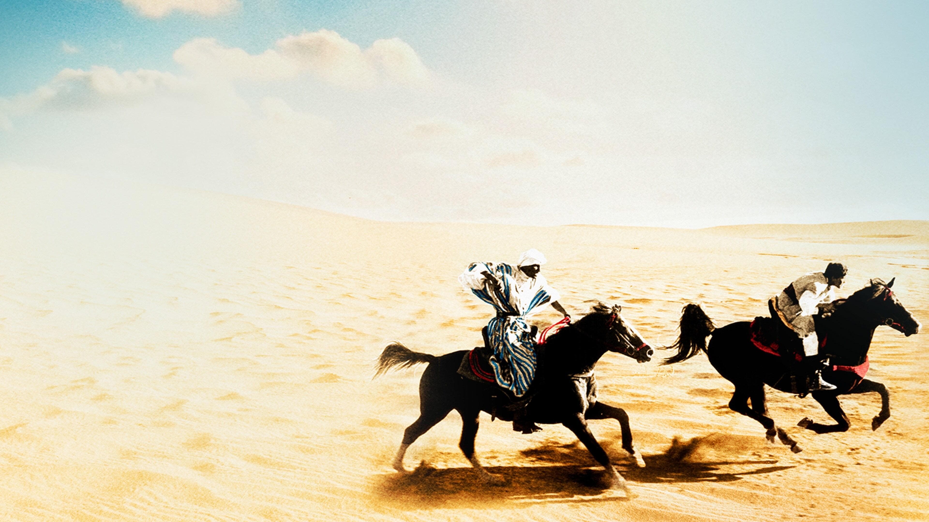 Backdrop of The Black Stallion Returns