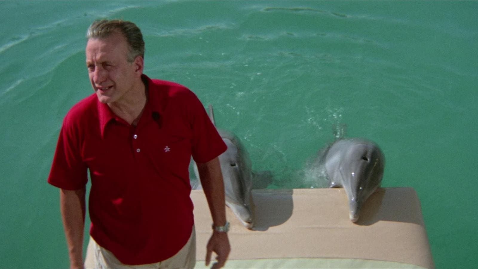 Backdrop of The Day of the Dolphin